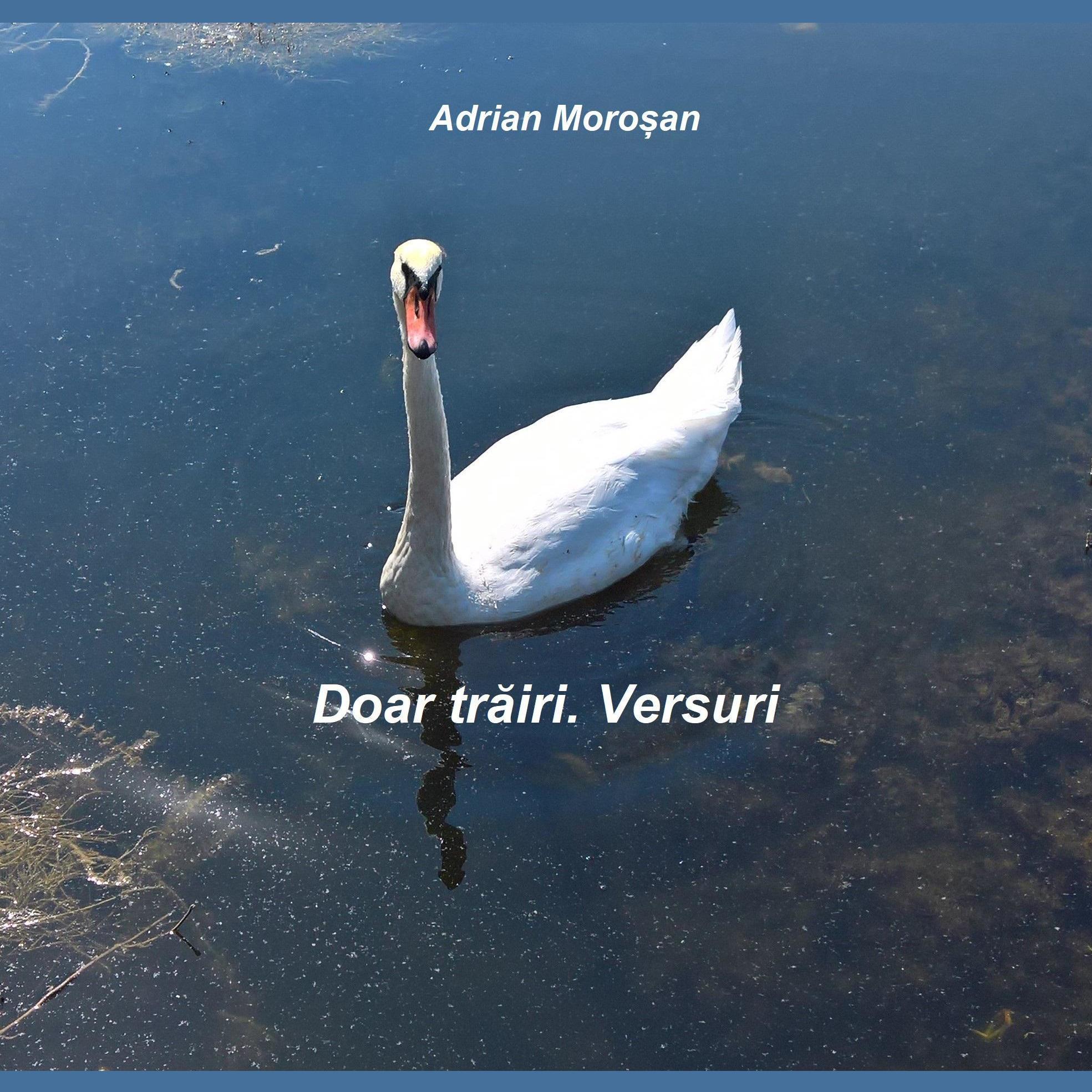 Doar trăiri. Versuri