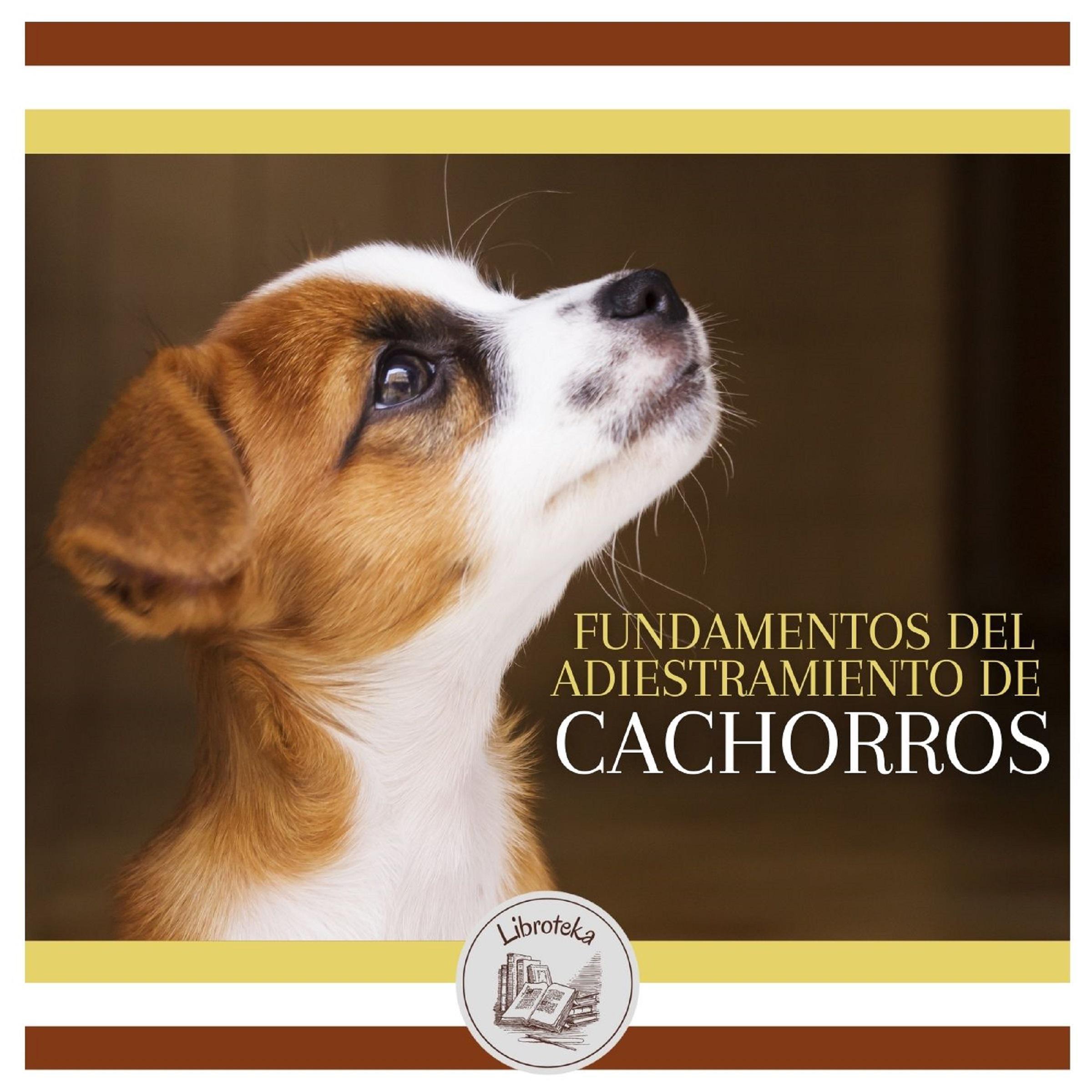 Fundamentos Del Adiestramiento De Cachorros