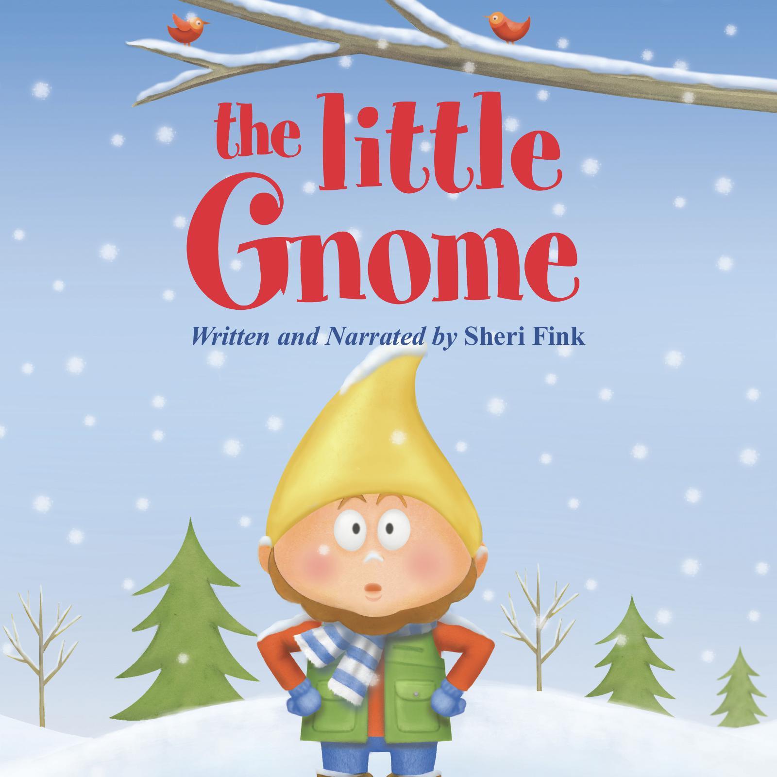 The Little Gnome
