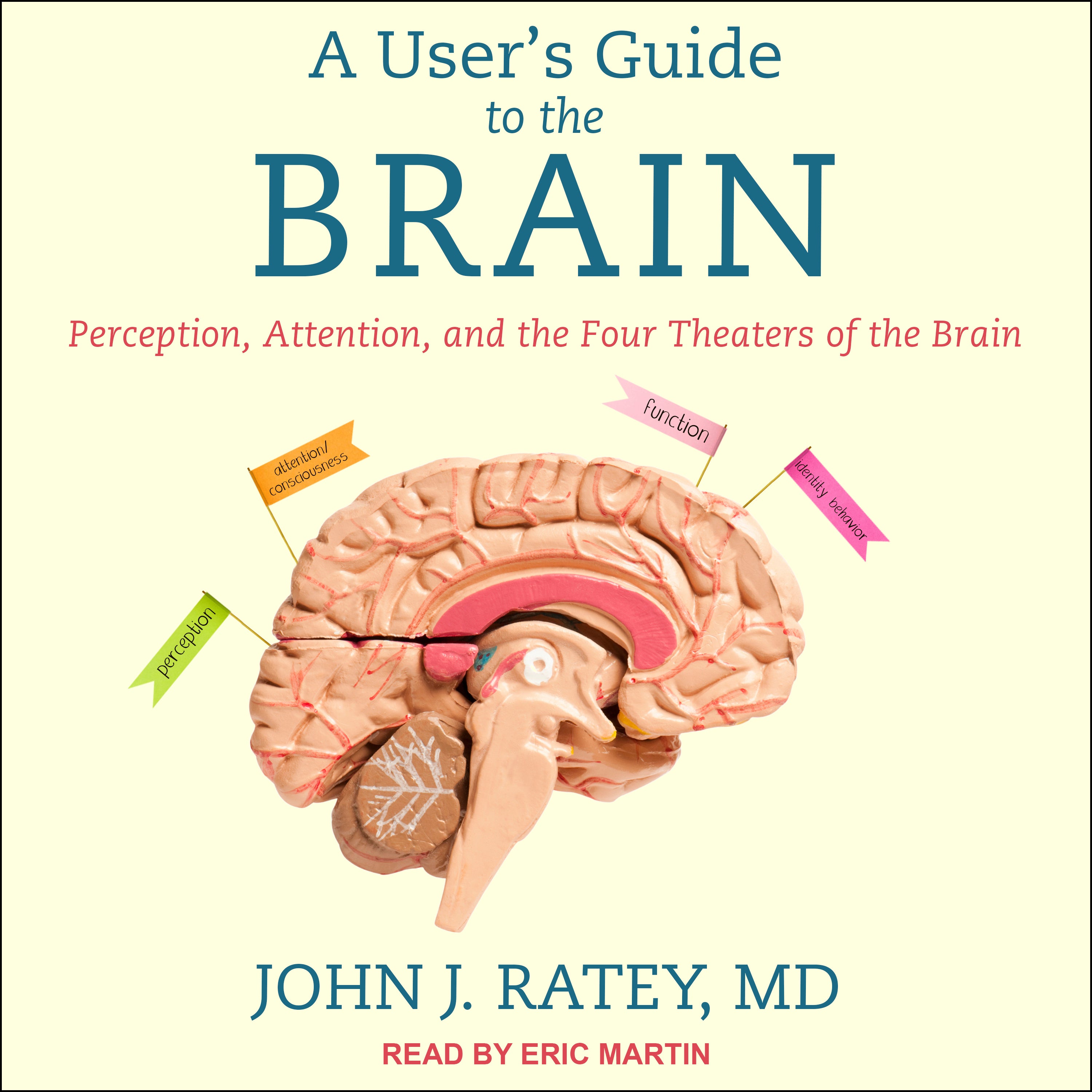 A User's Guide to the Brain