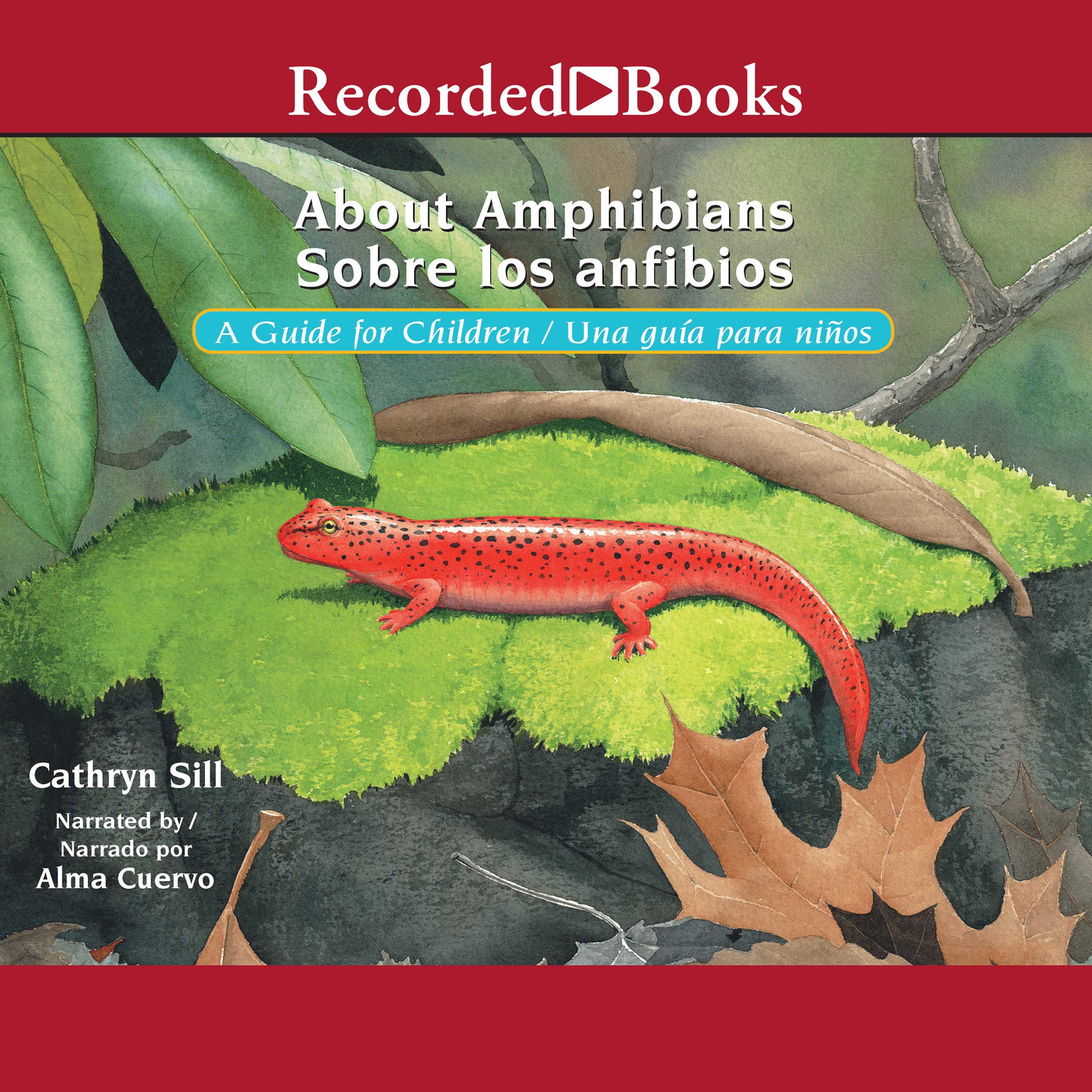 About Amphibians/Sobre Los Anfibios