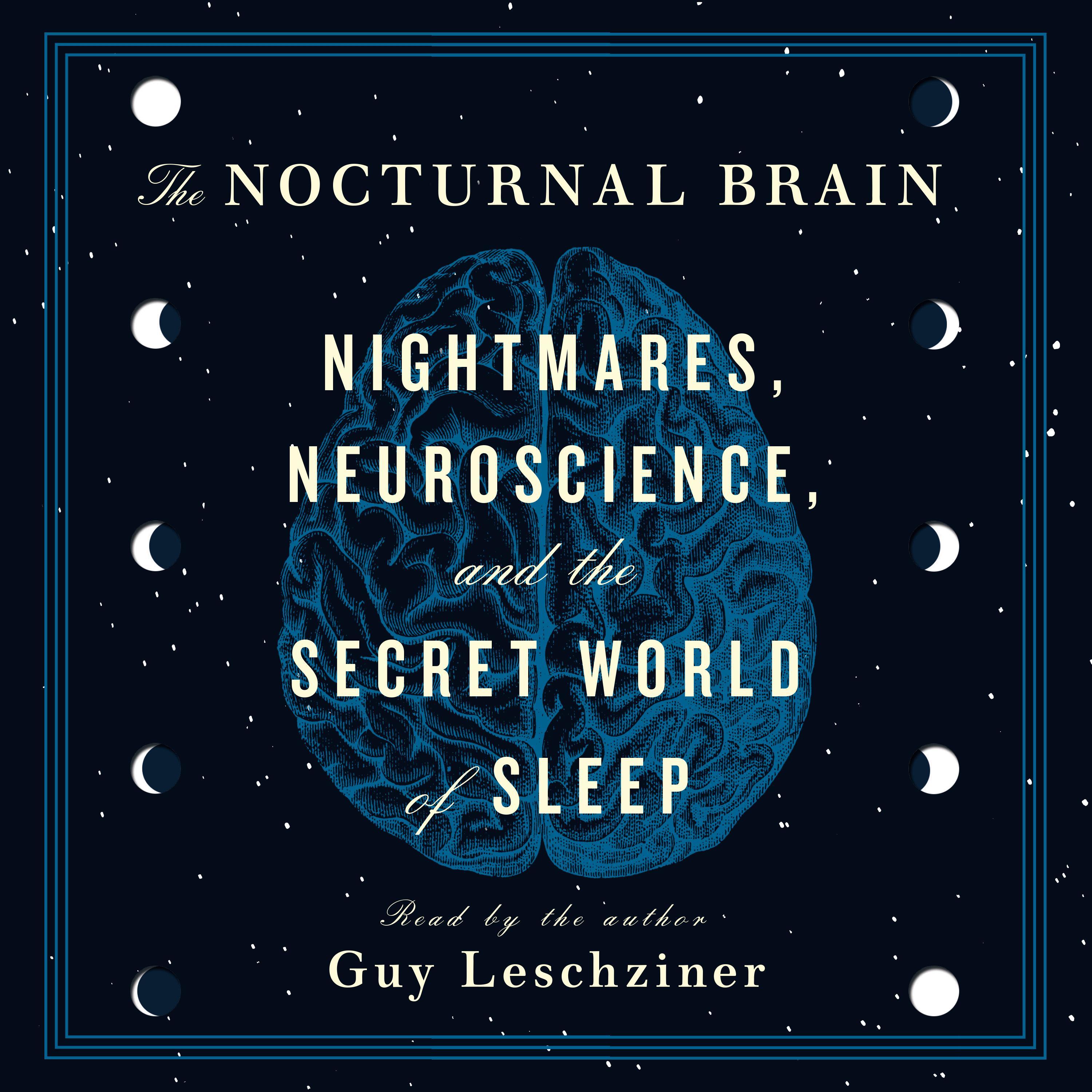 The Nocturnal Brain
