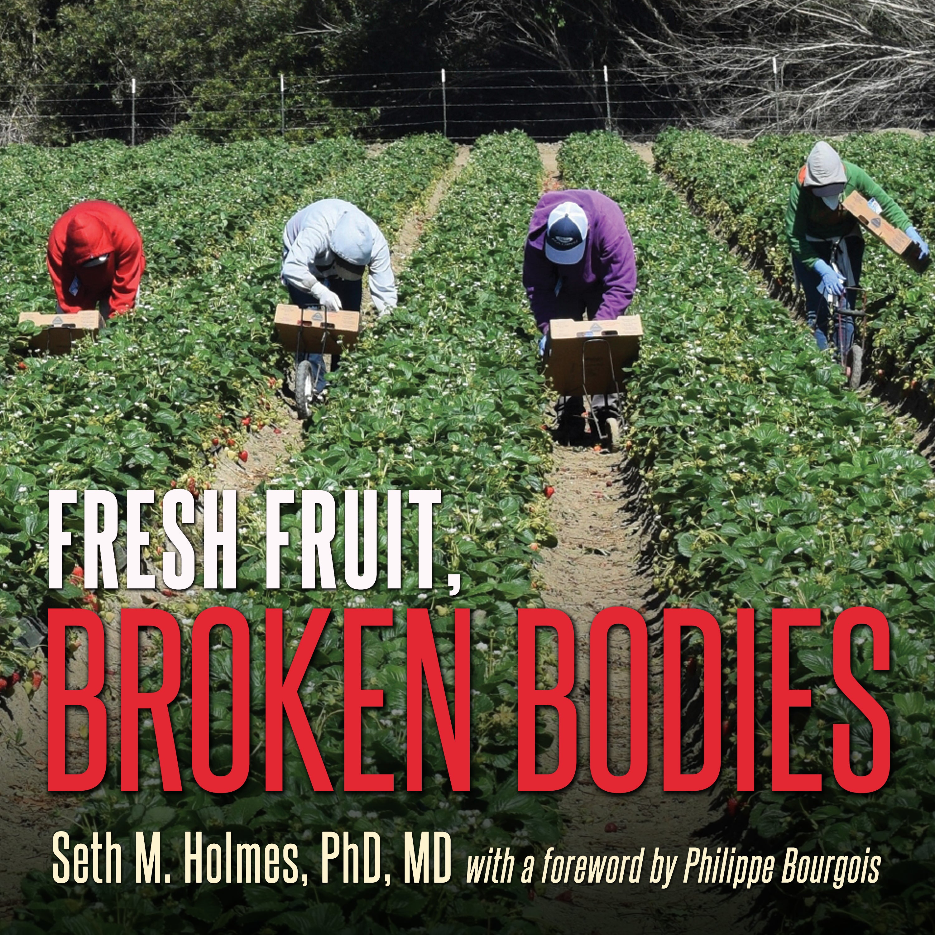 Fresh Fruit, Broken Bodies