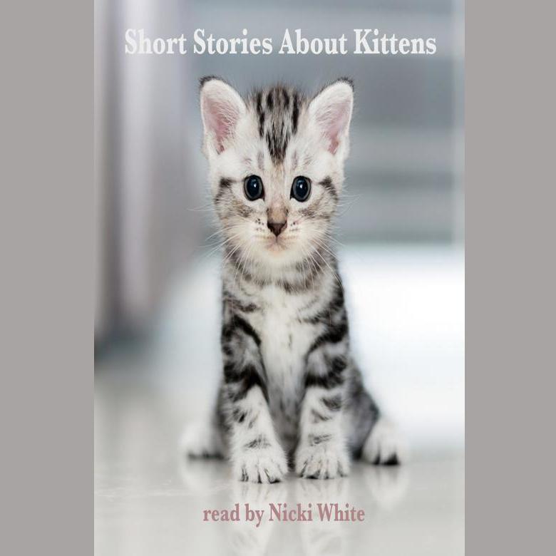 Short Stories About Kittens