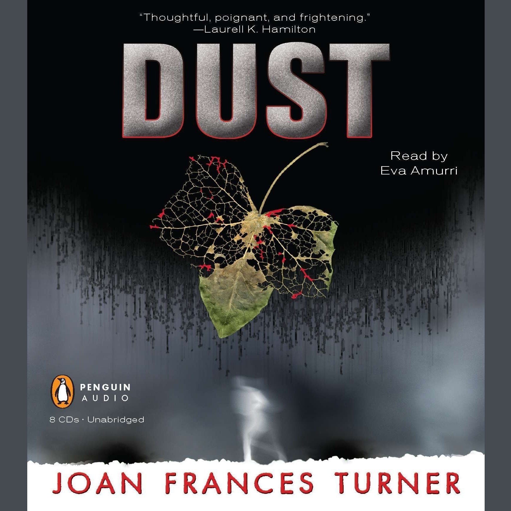 Dust