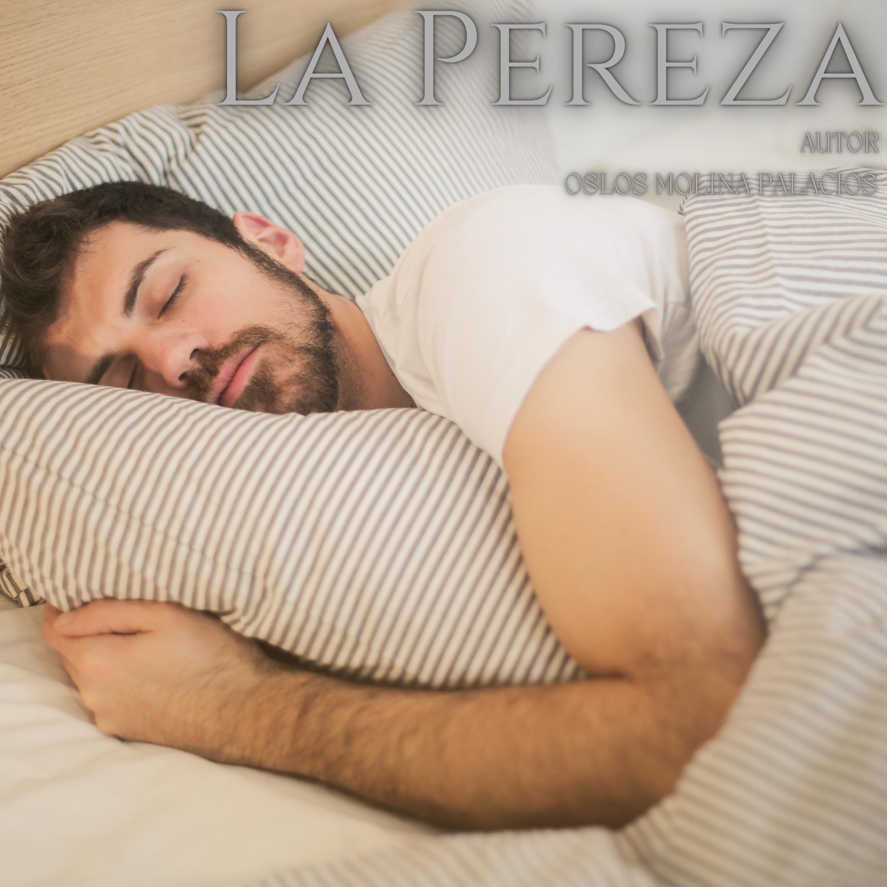 La pereza