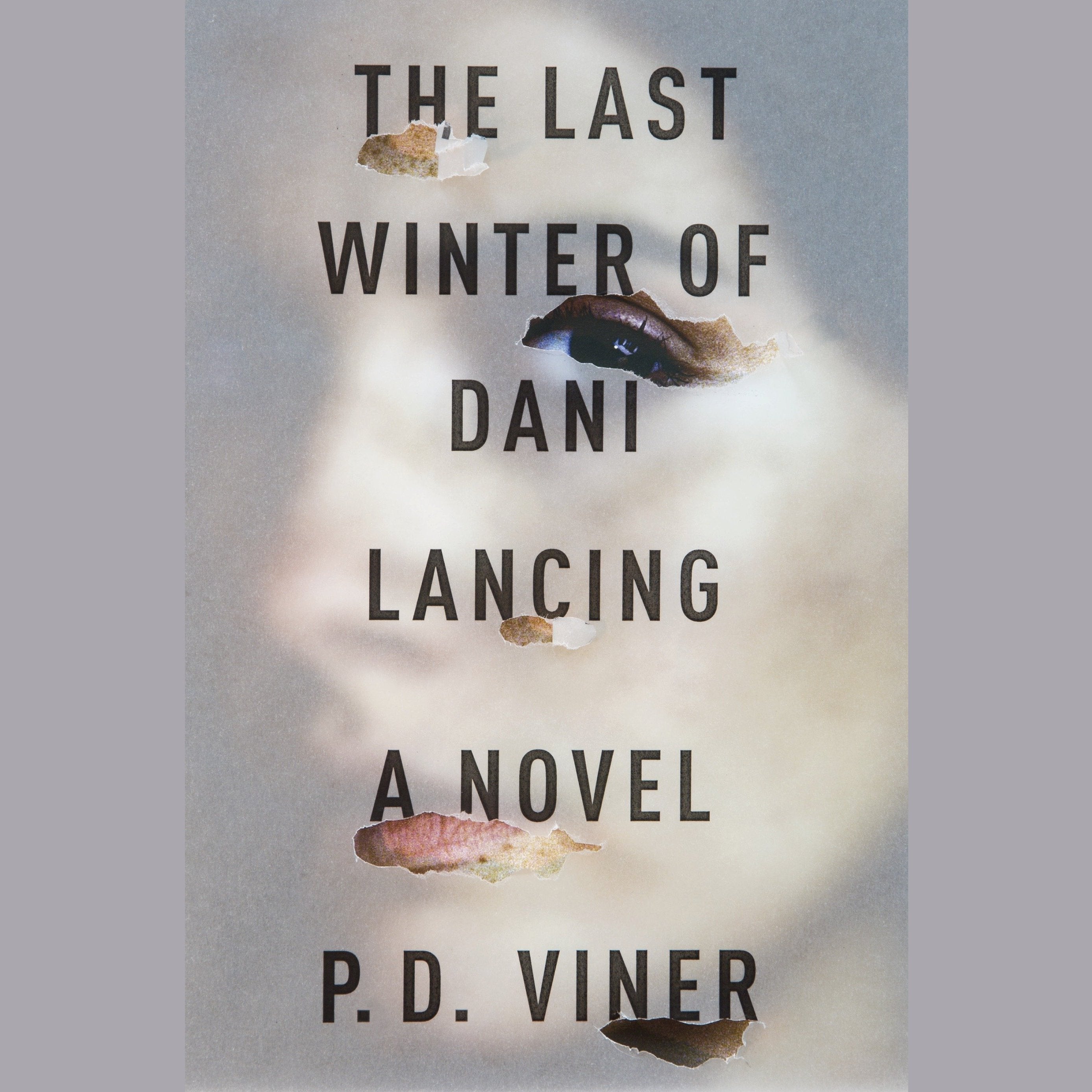 The Last Winter of Dani Lancing