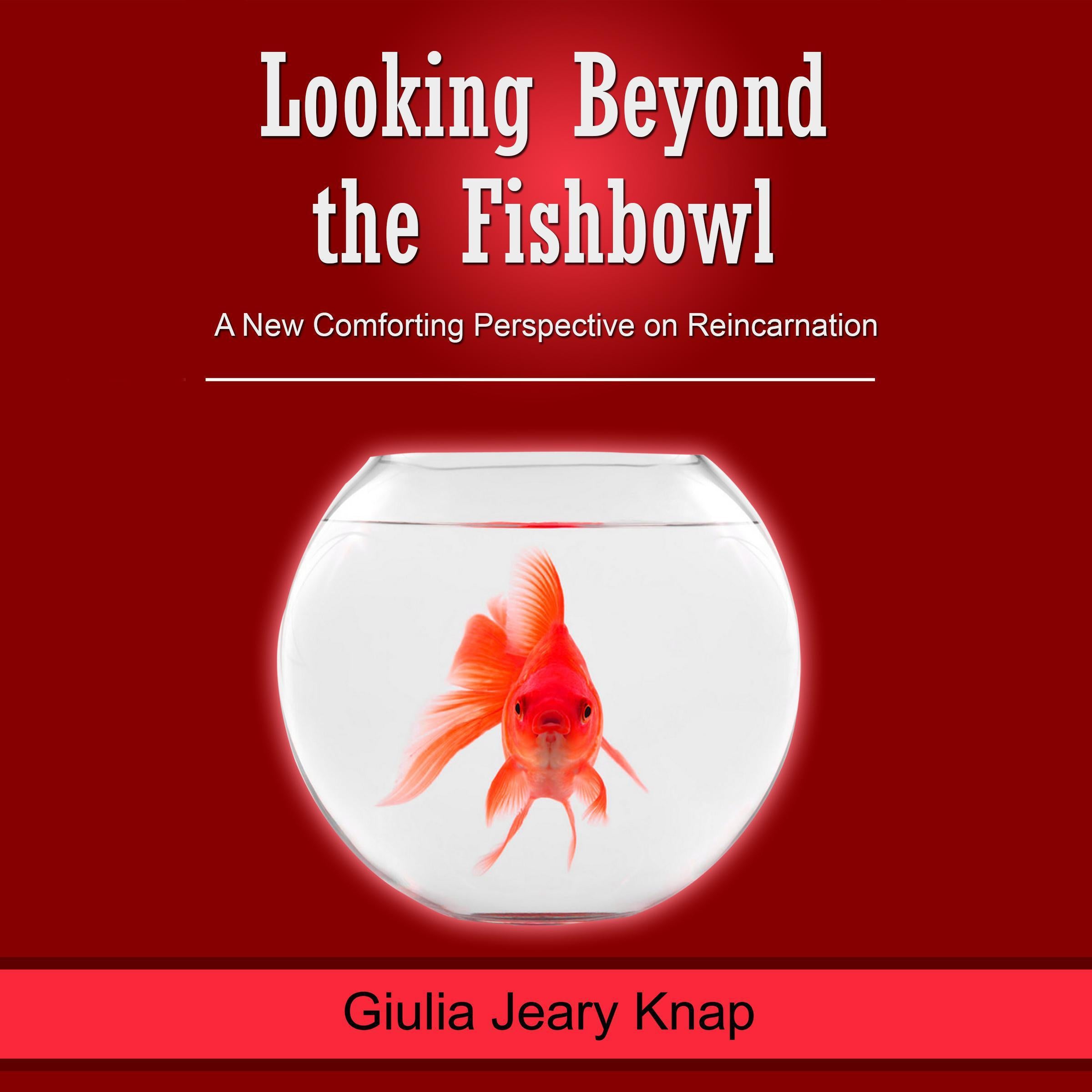 Looking Beyond the Fishbowl