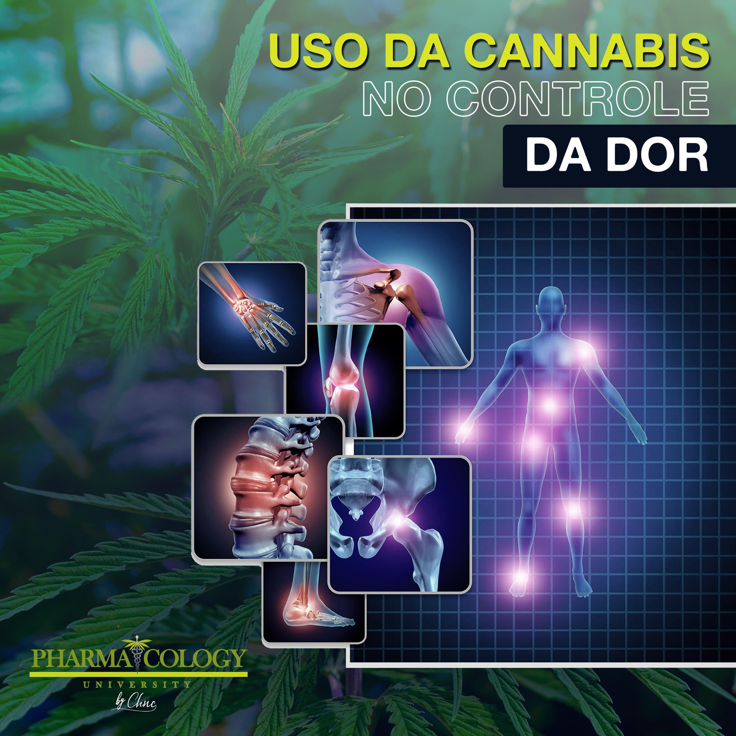 Uso da cannabis no controle da dor