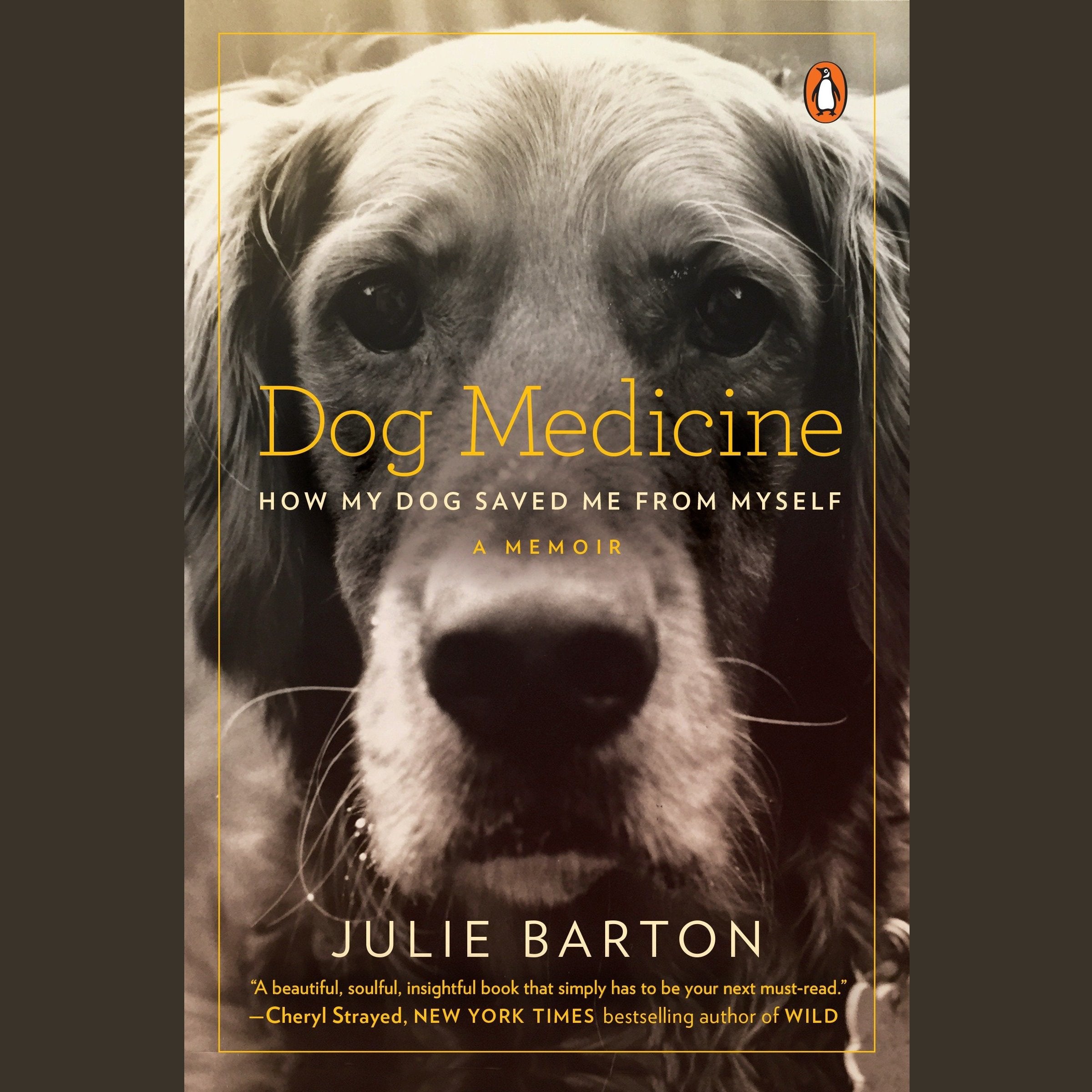 Dog Medicine