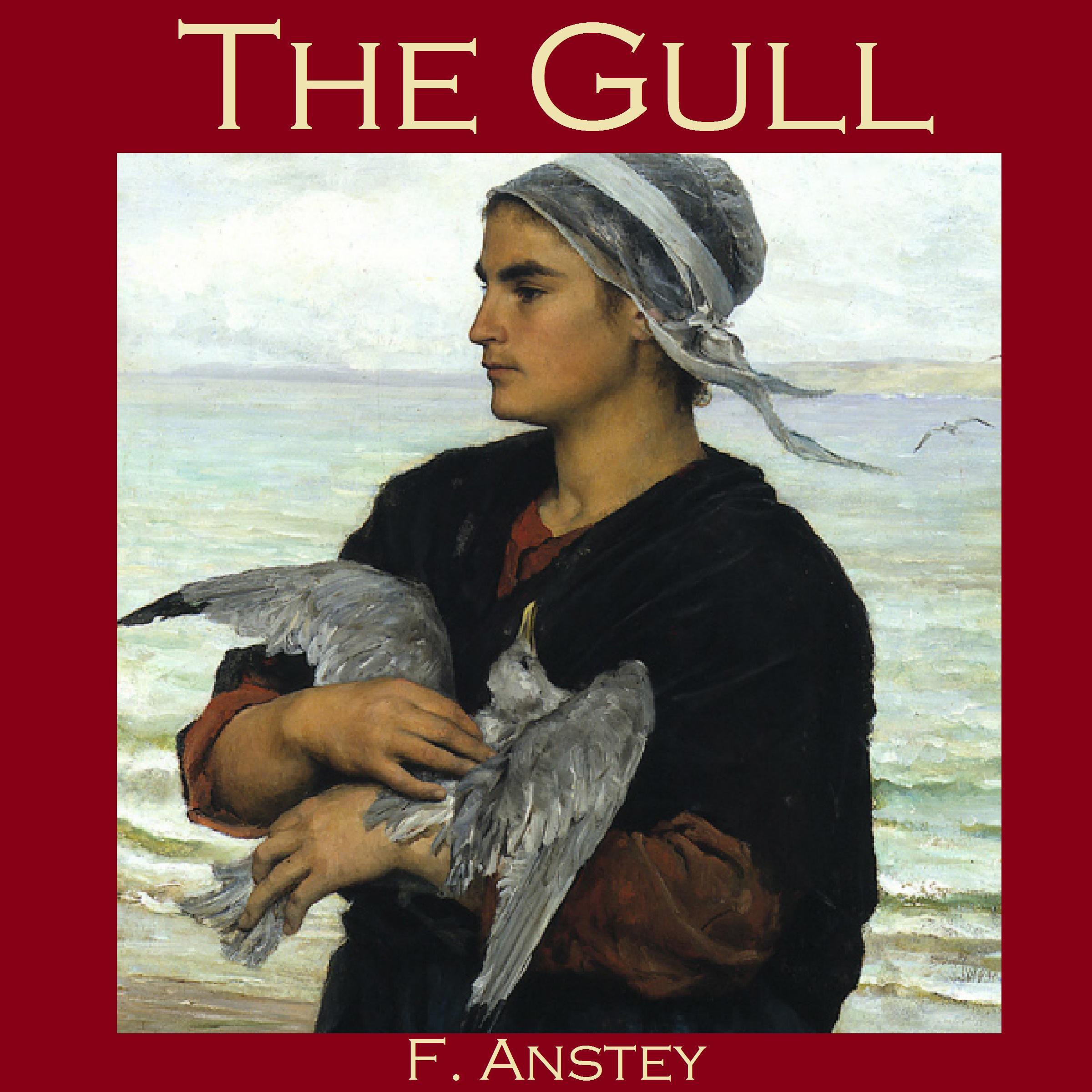 The Gull