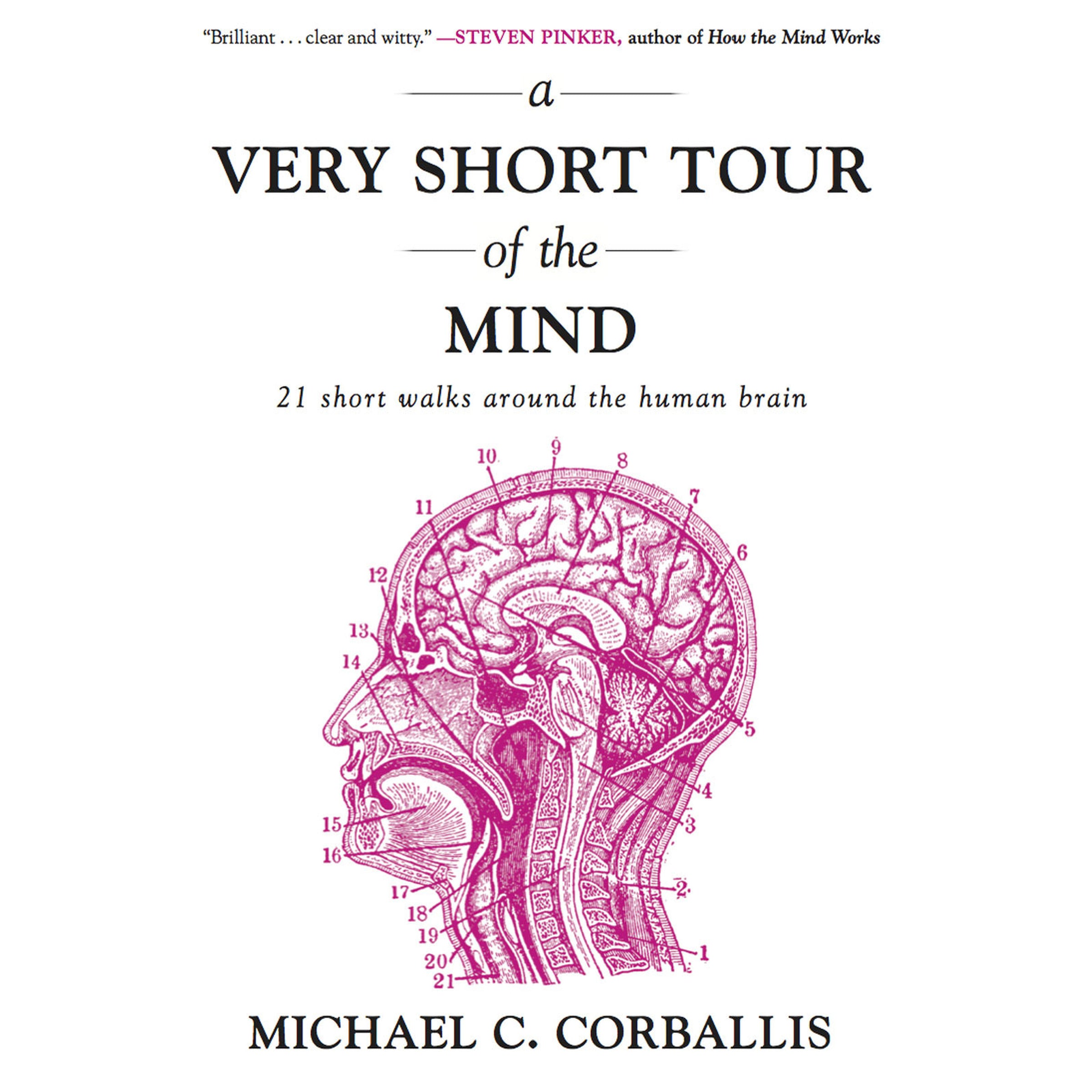 A Very Short Tour the Mind