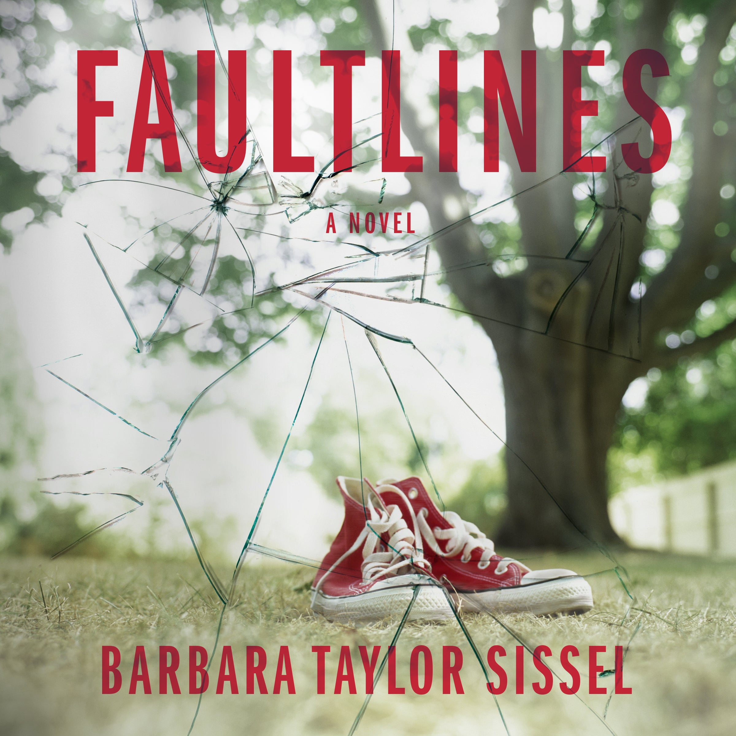 Faultlines