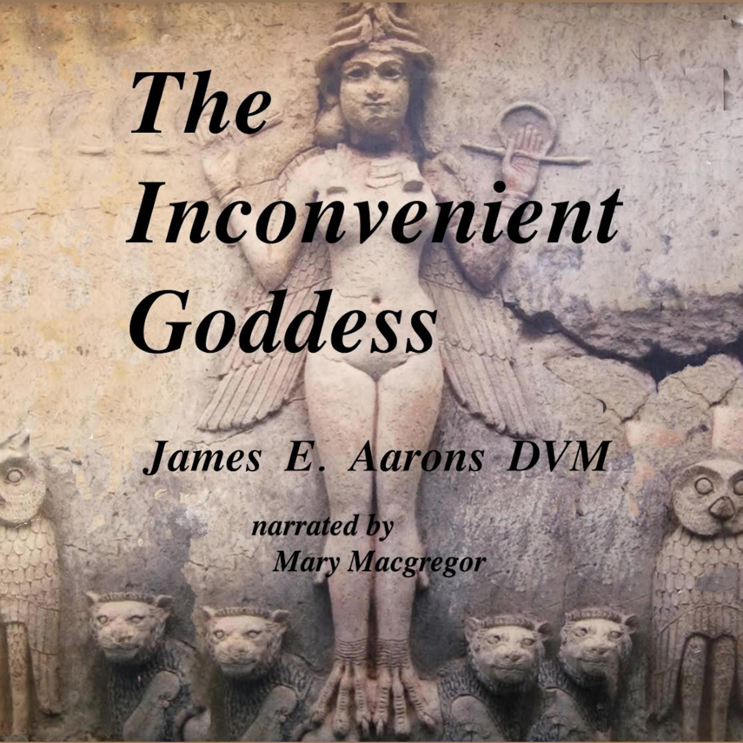 The Inconvenient Goddess