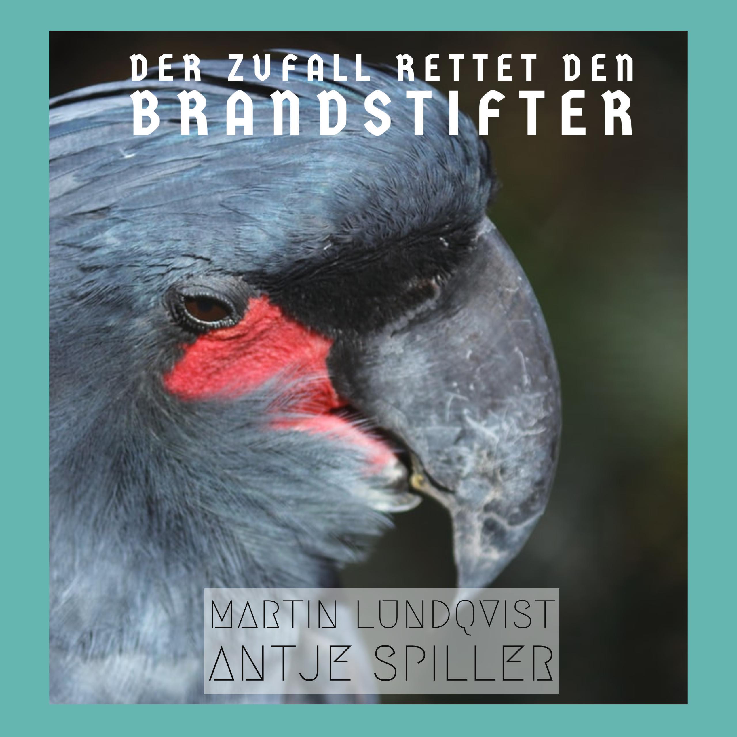 Der Zufall rettet den Brandstifter