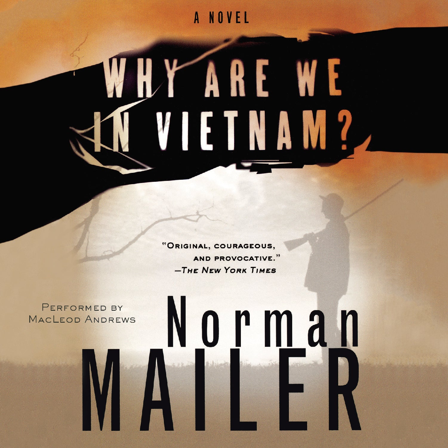 Why Are We in Vietnam?