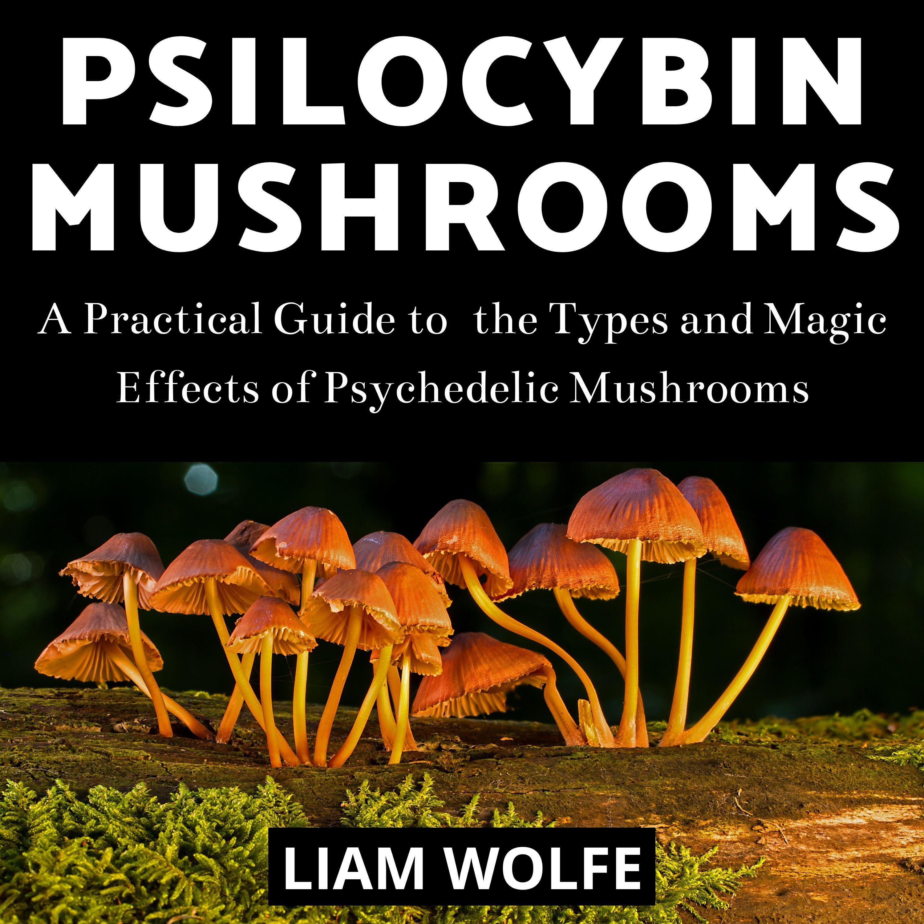 Psilocybin Mushrooms