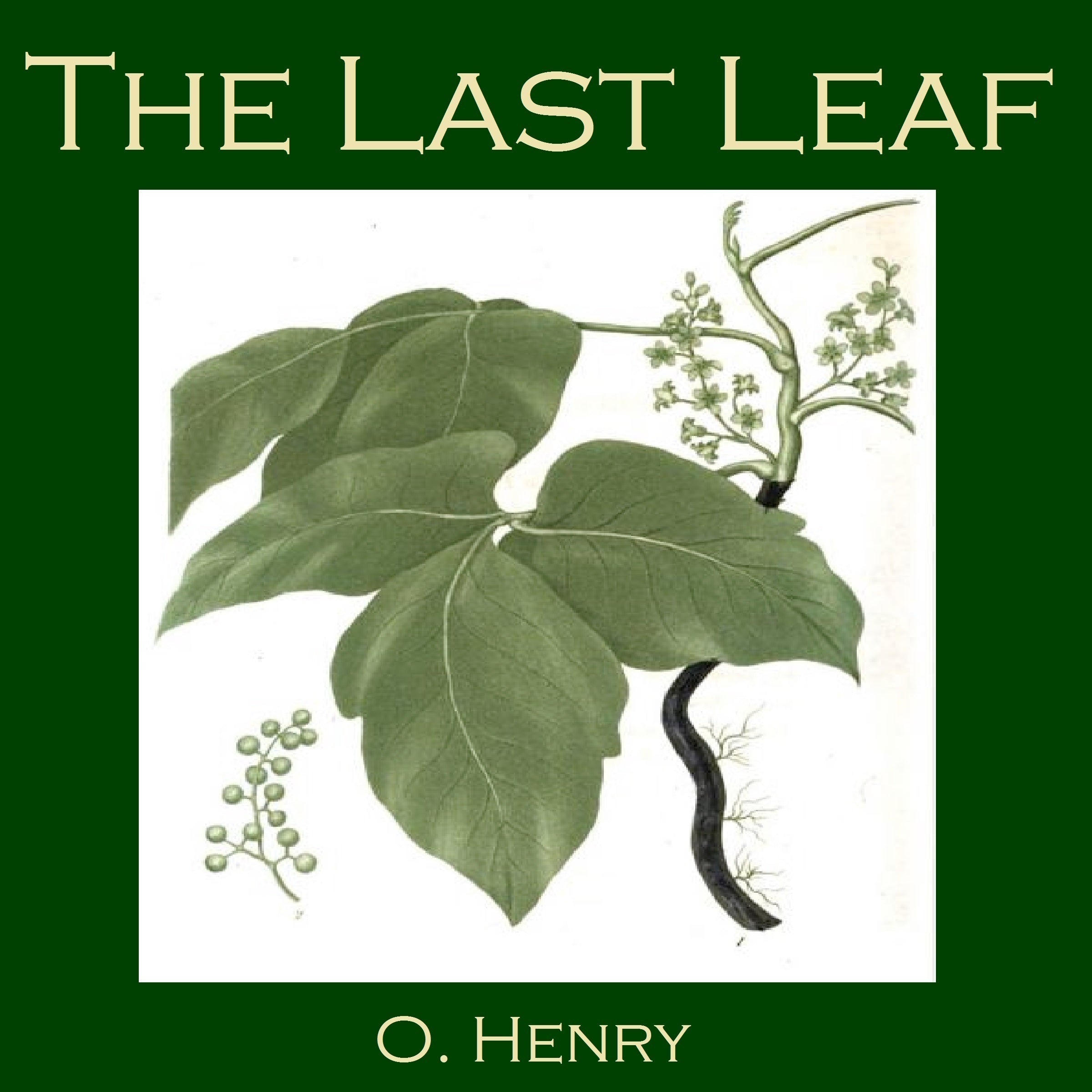 The Last Leaf