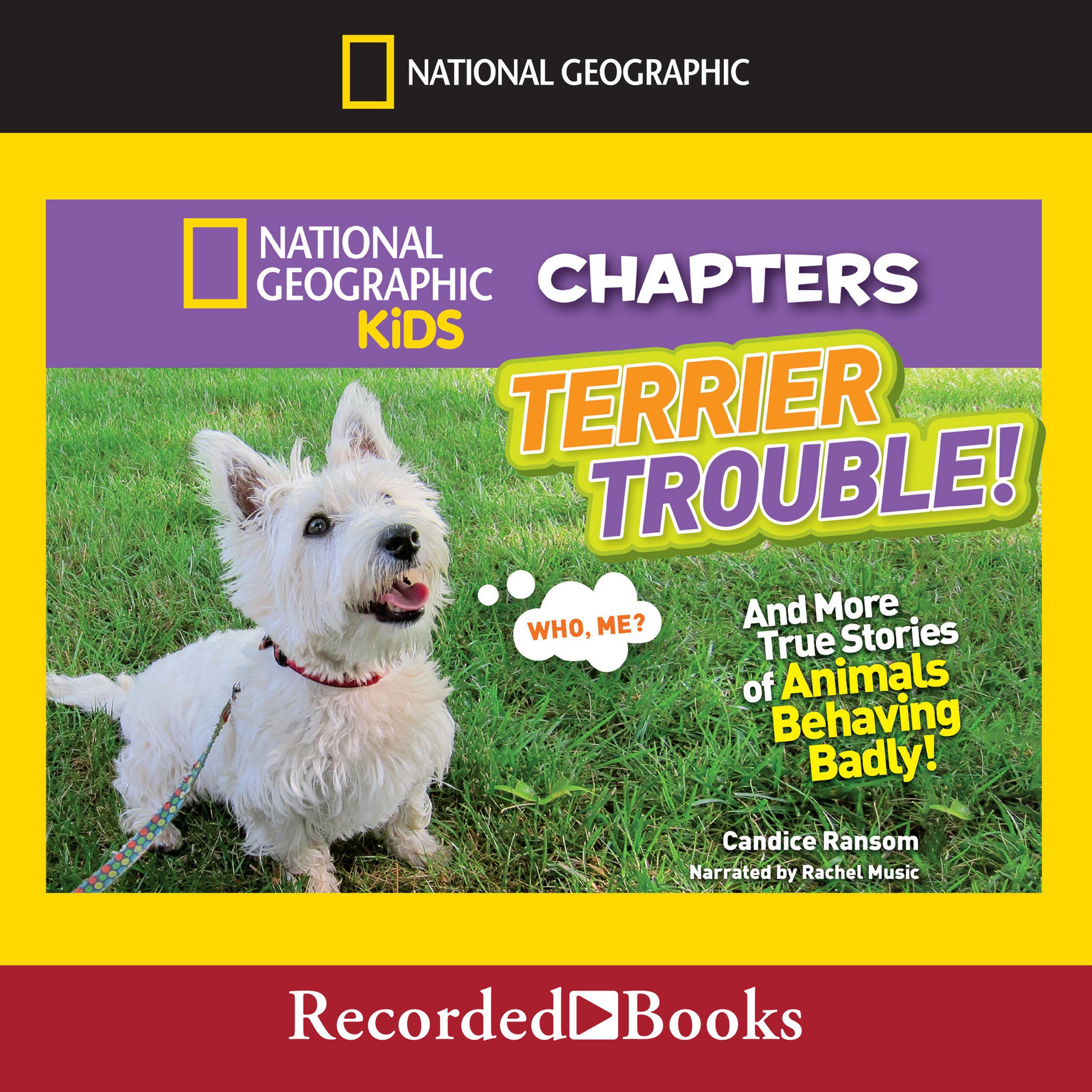 Terrier Trouble!