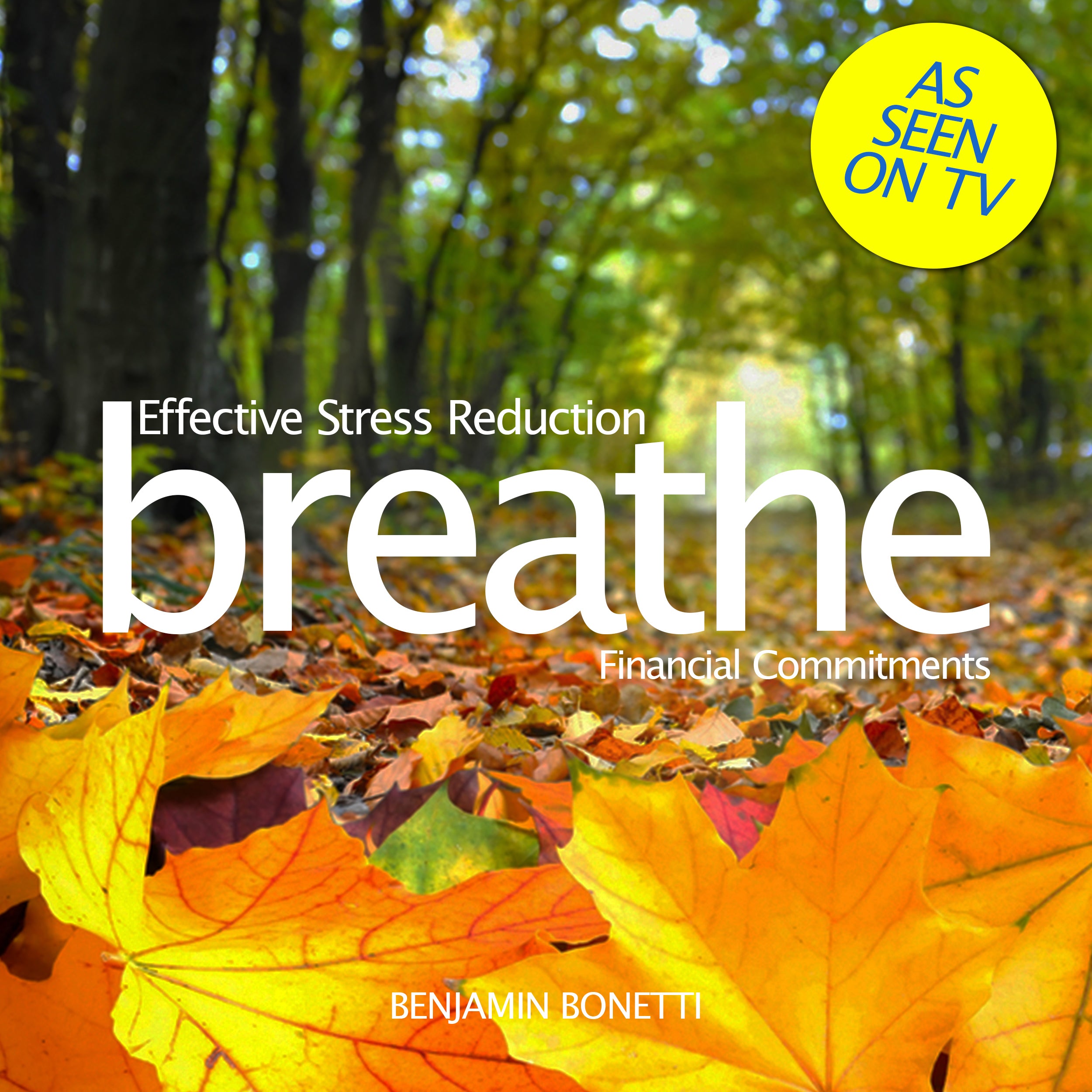 Breathe—Effective Stress Reduction: Financial Commitments