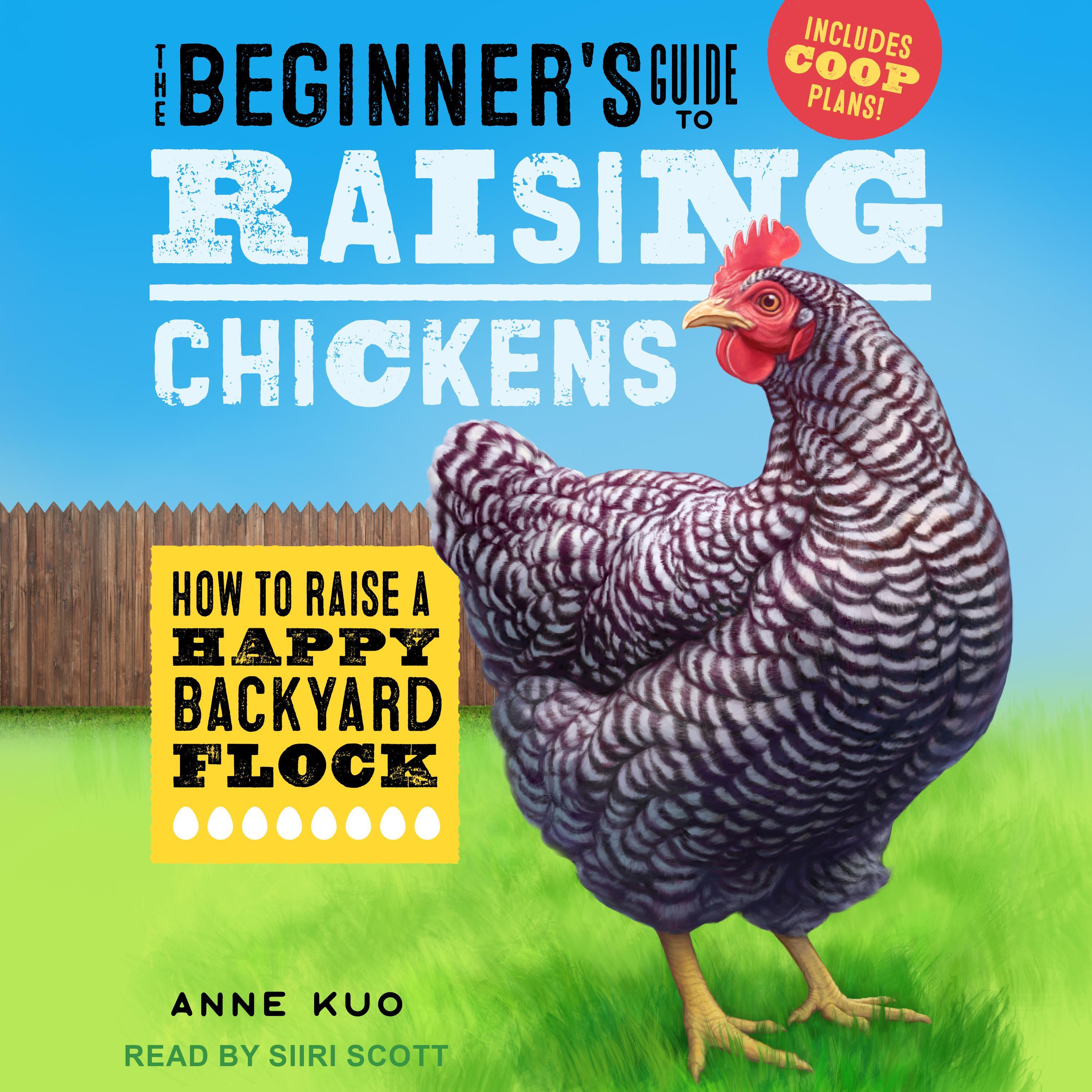 The Beginner's Guide to Raising Chickens