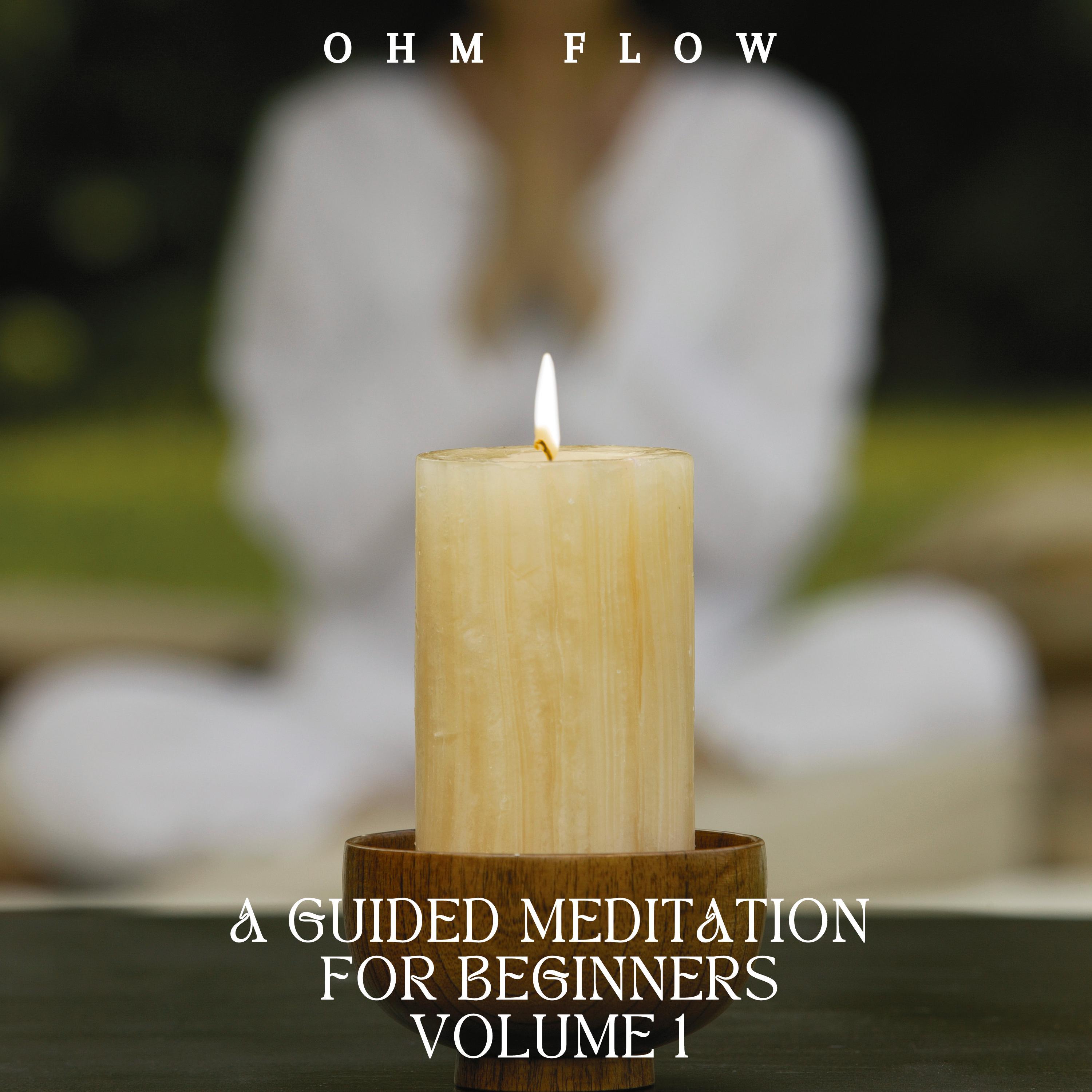 A Guided Meditation for Beginners - Volume 1