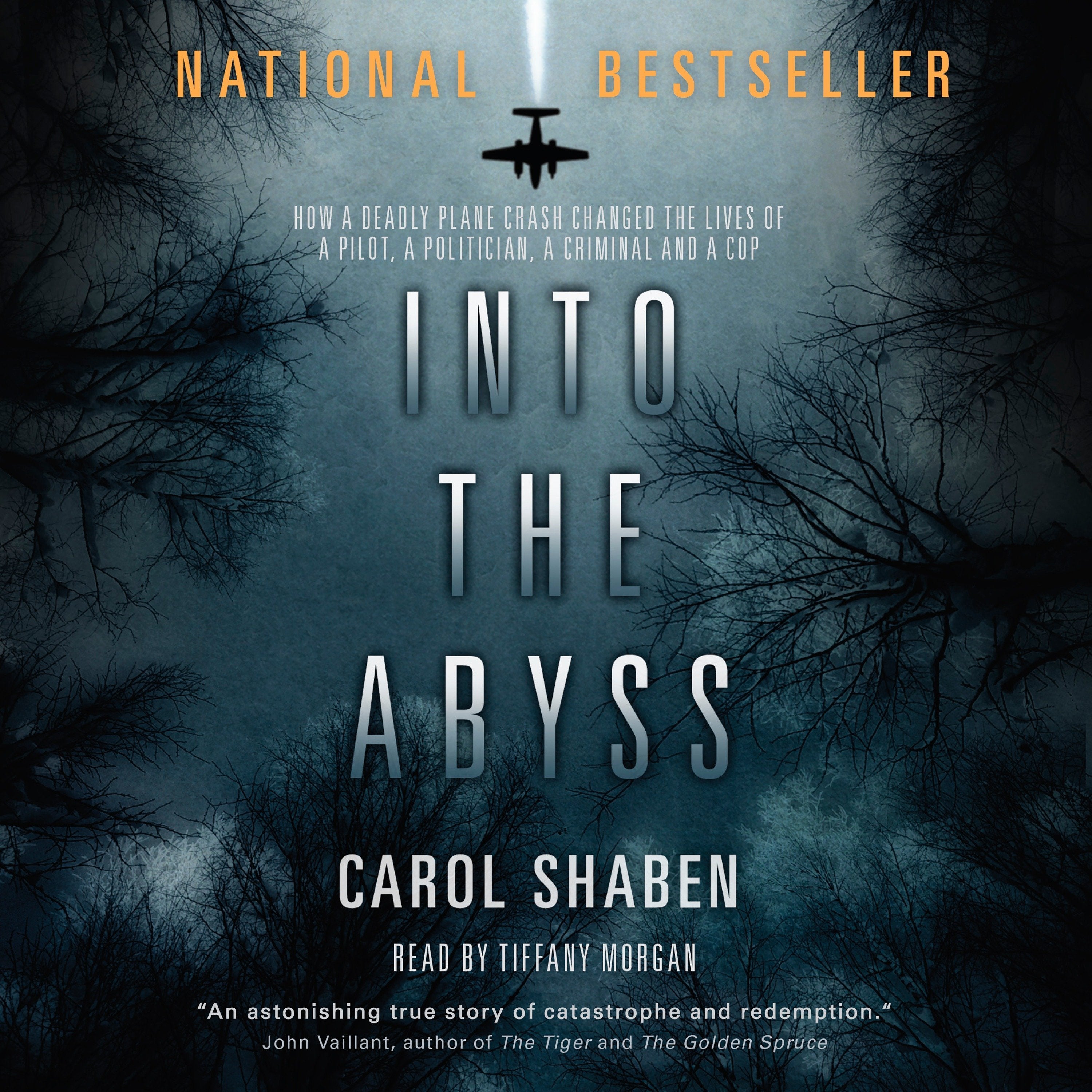 Into the Abyss