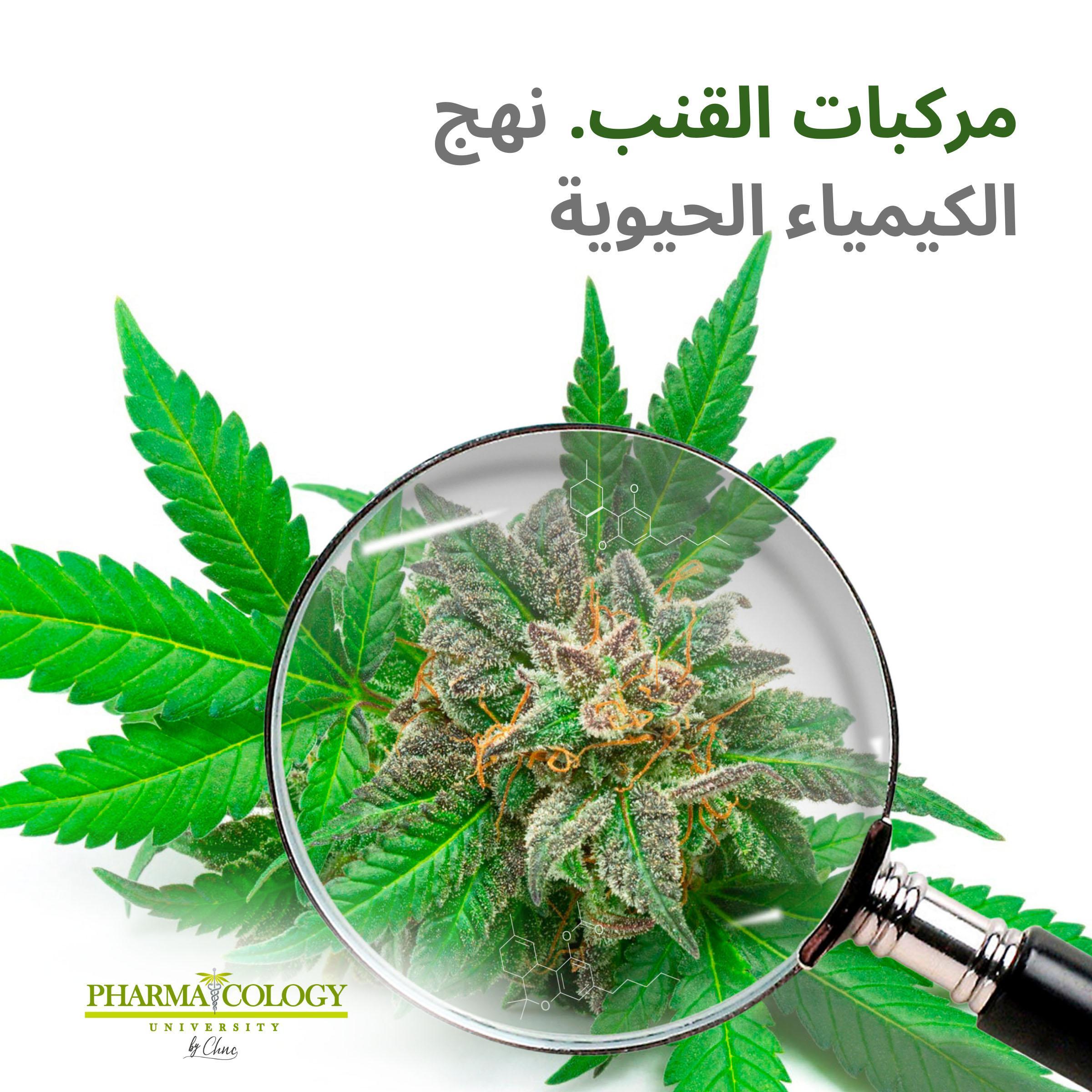 مركبات القنب. نهج الكيمياء الحيوية