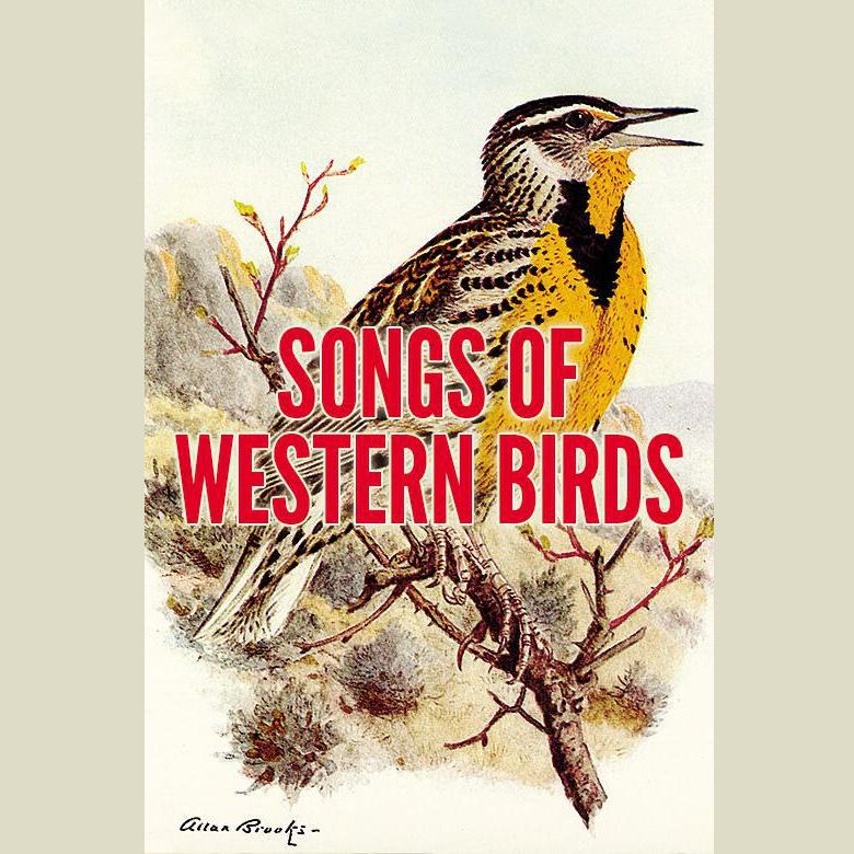Songs of Western Birds