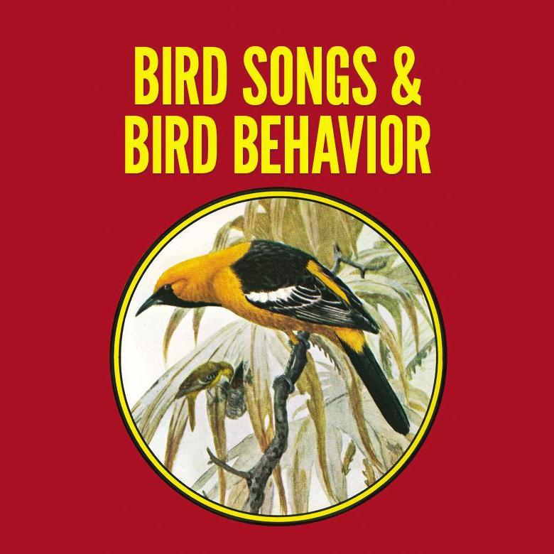 Bird Song and Behavior