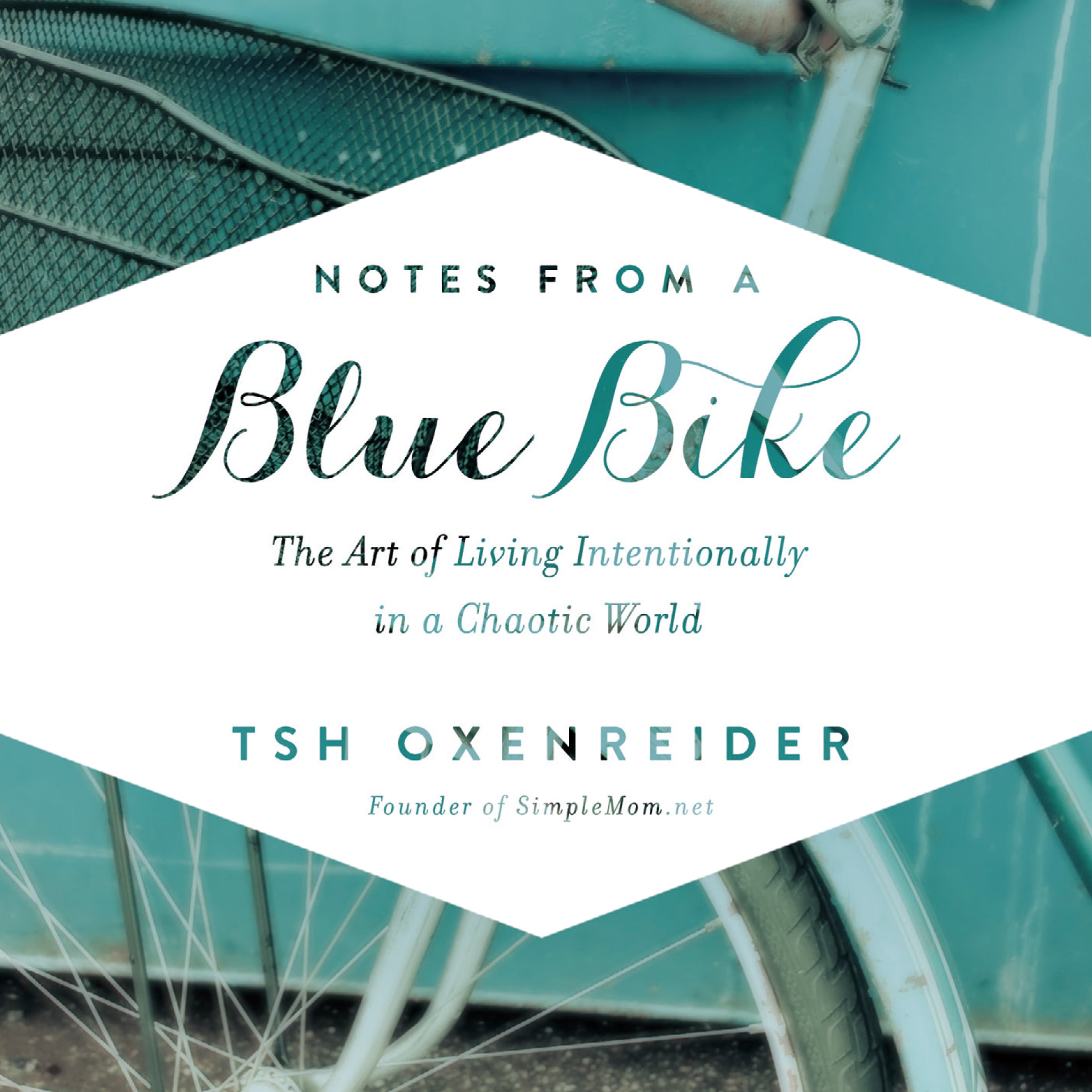 Notes from a Blue Bike