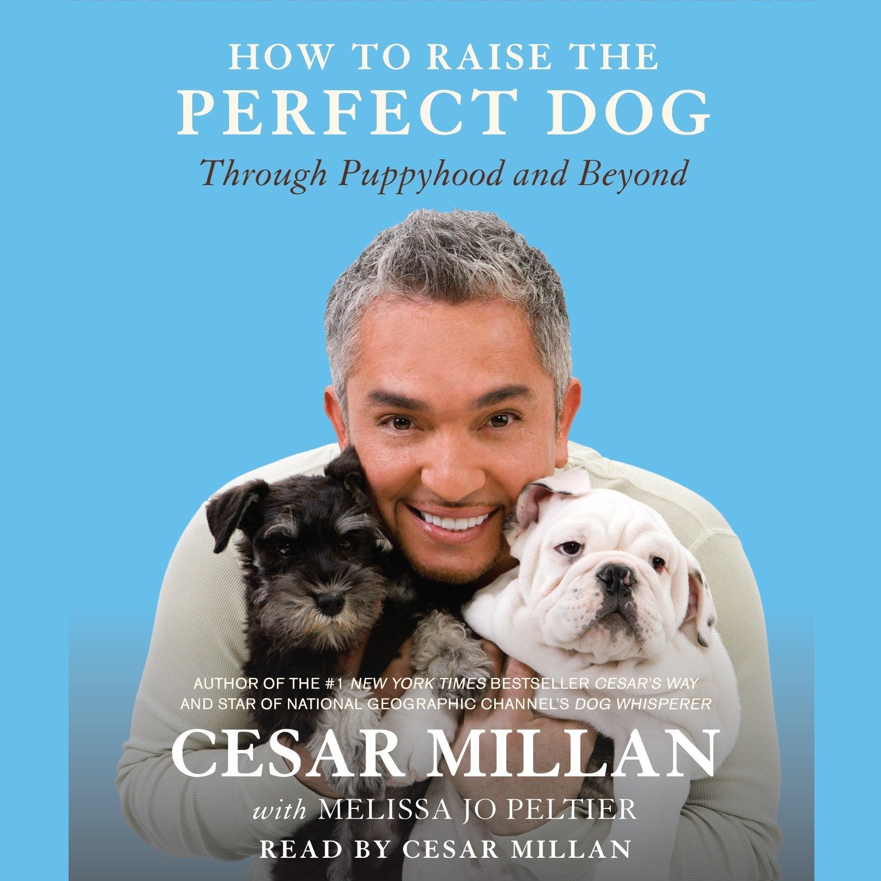 How to Raise the Perfect Dog