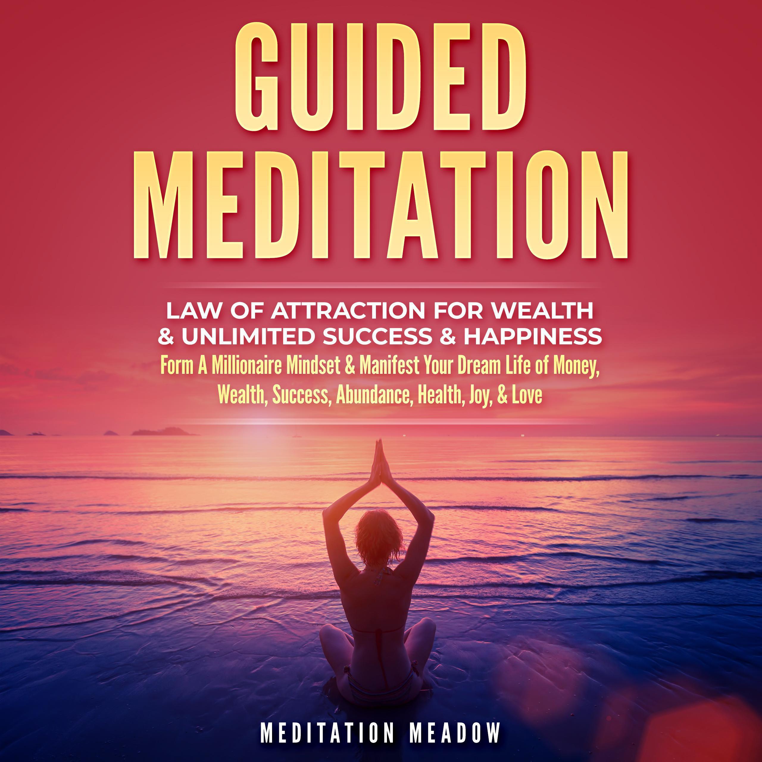 Guided Meditation - Law of Attraction for Wealth & Unlimited Success & Happiness