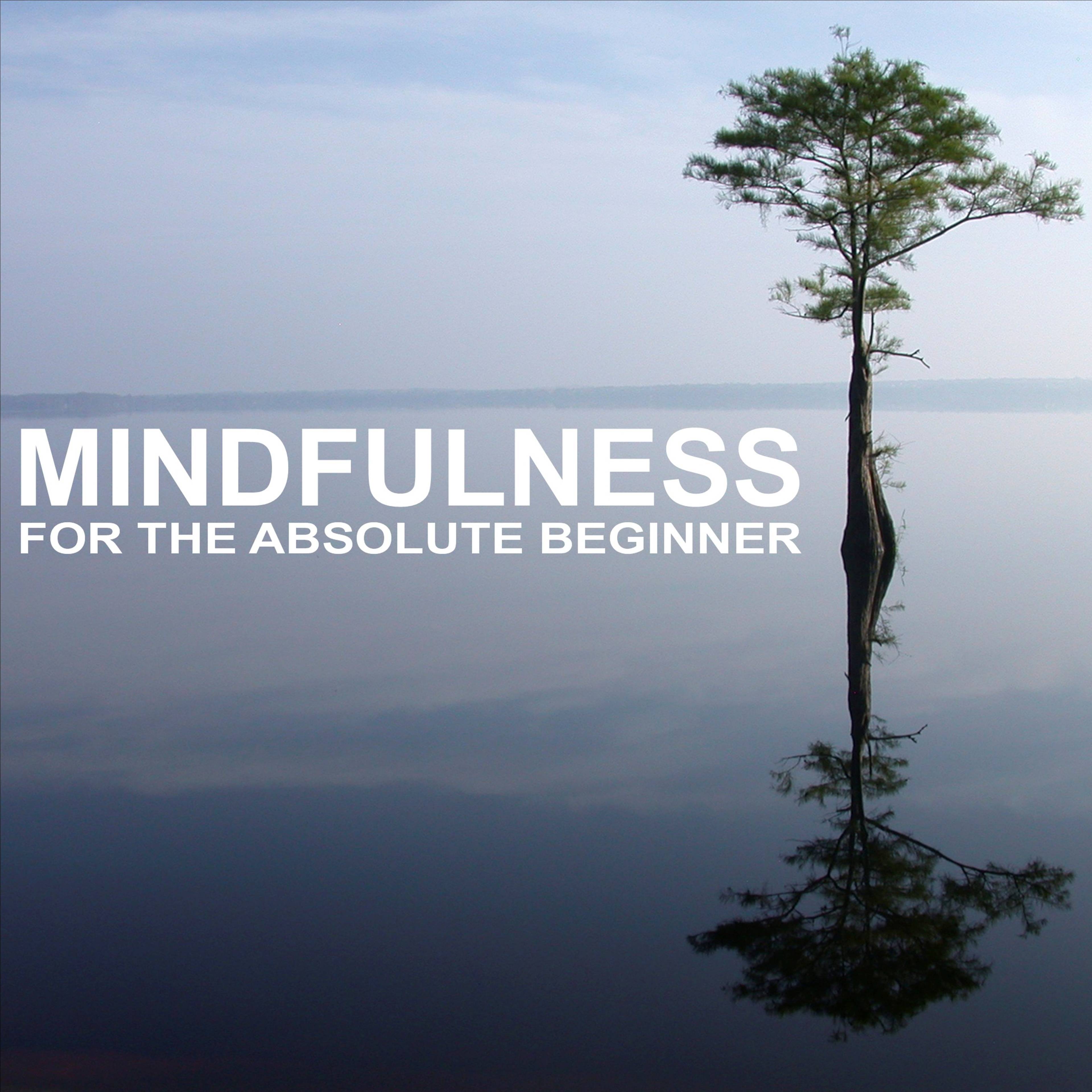 Mindfulness for the Absolute Beginner