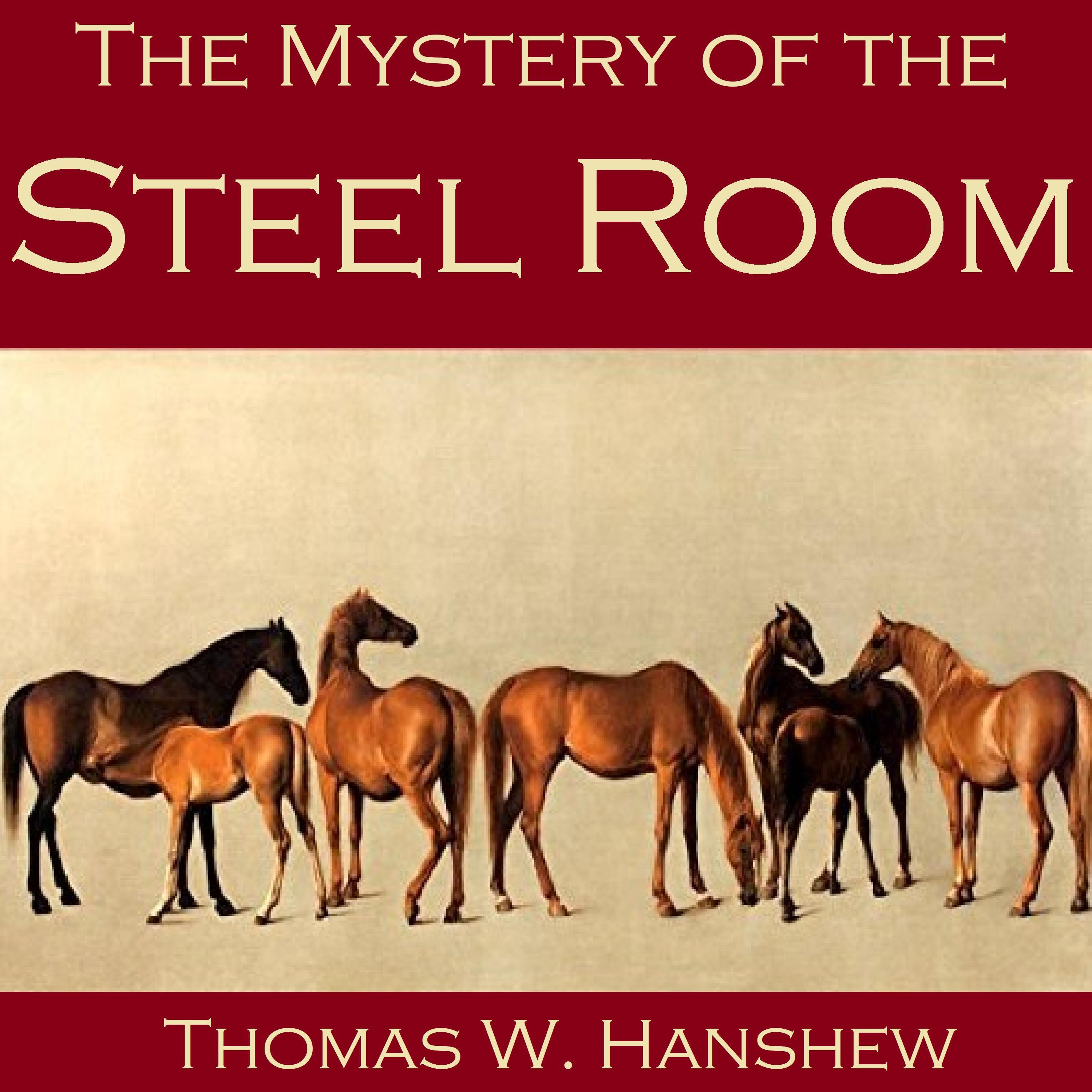 The Mystery of the Steel Room