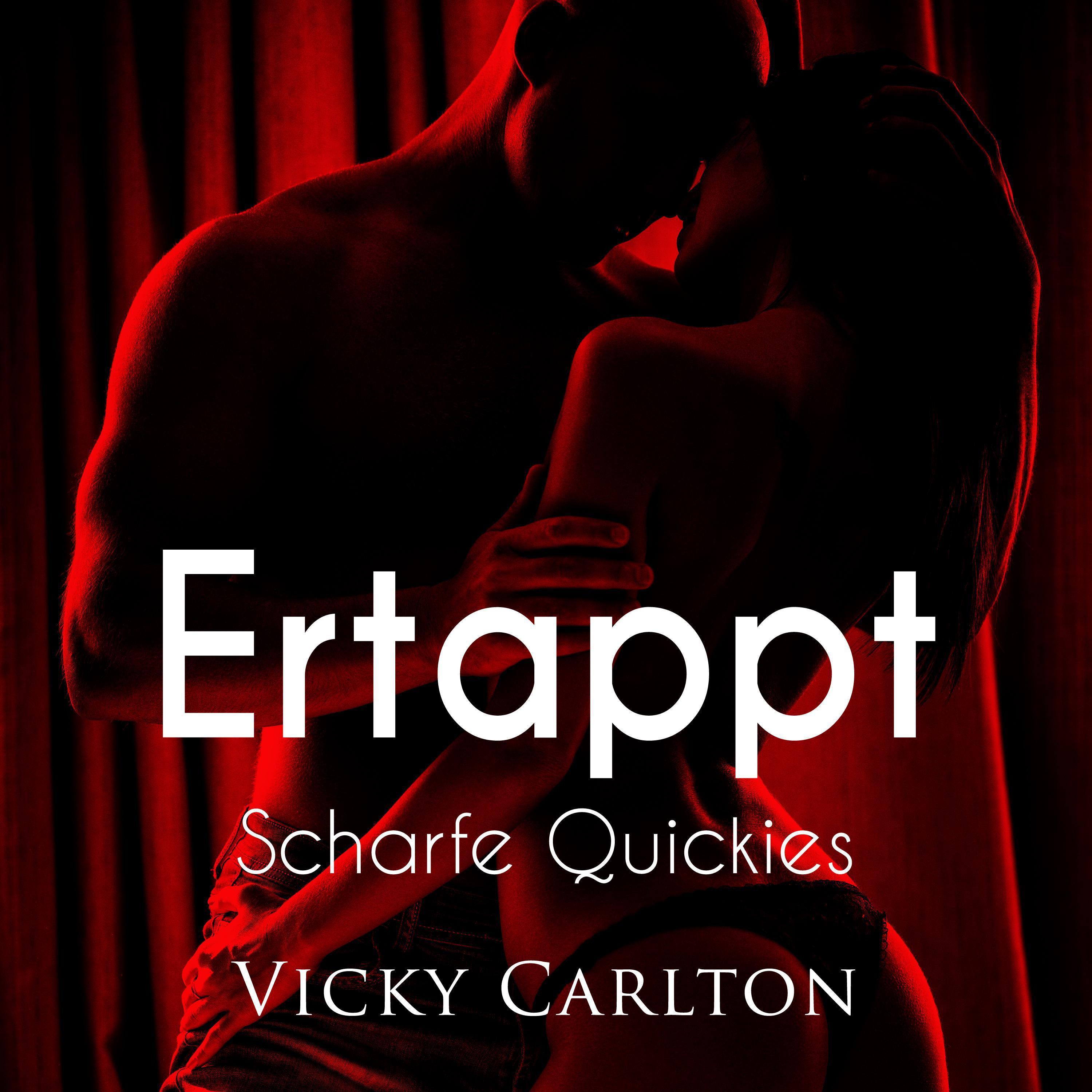 Ertappt. Scharfe Quickies