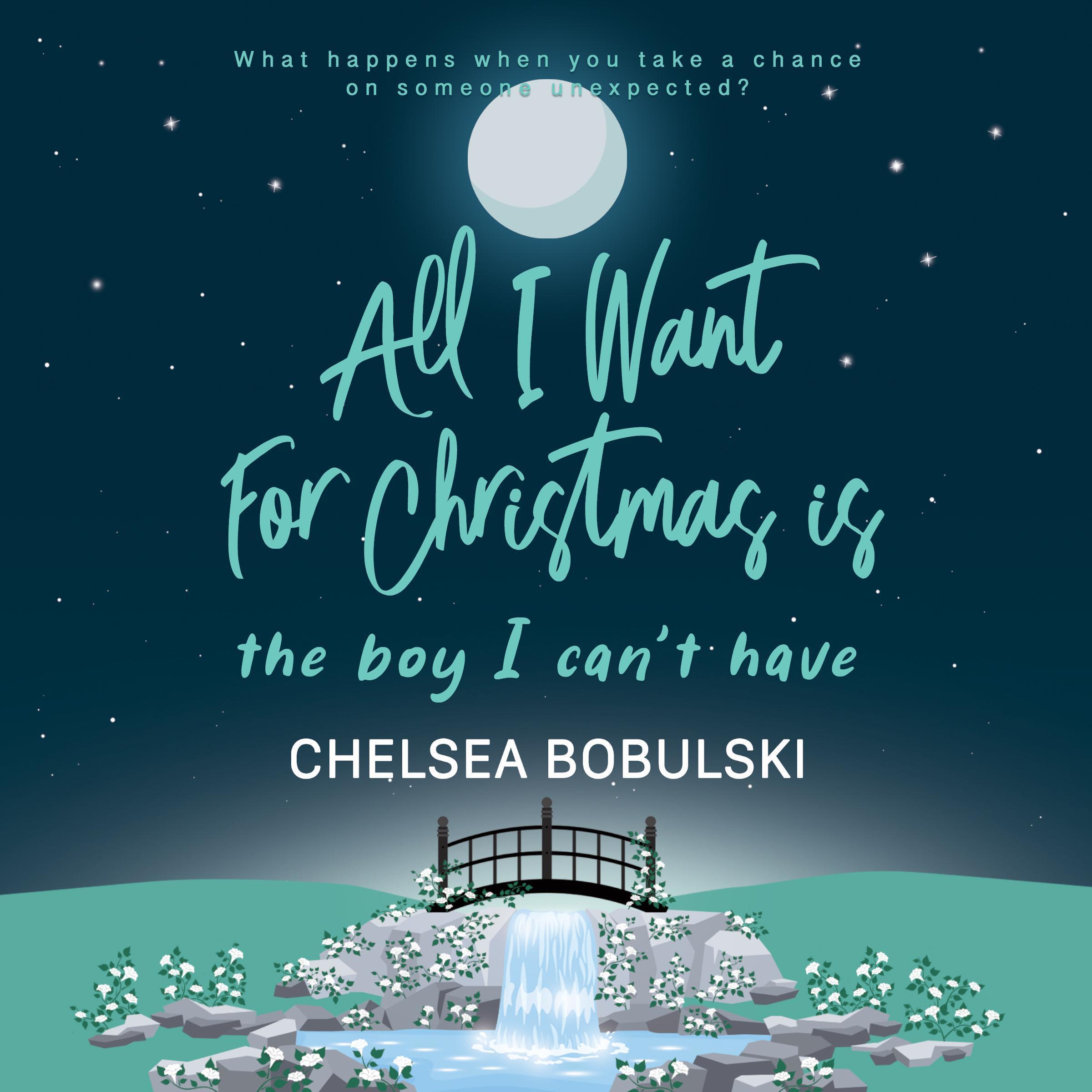 All I Want For Christmas is the Boy I Can't Have