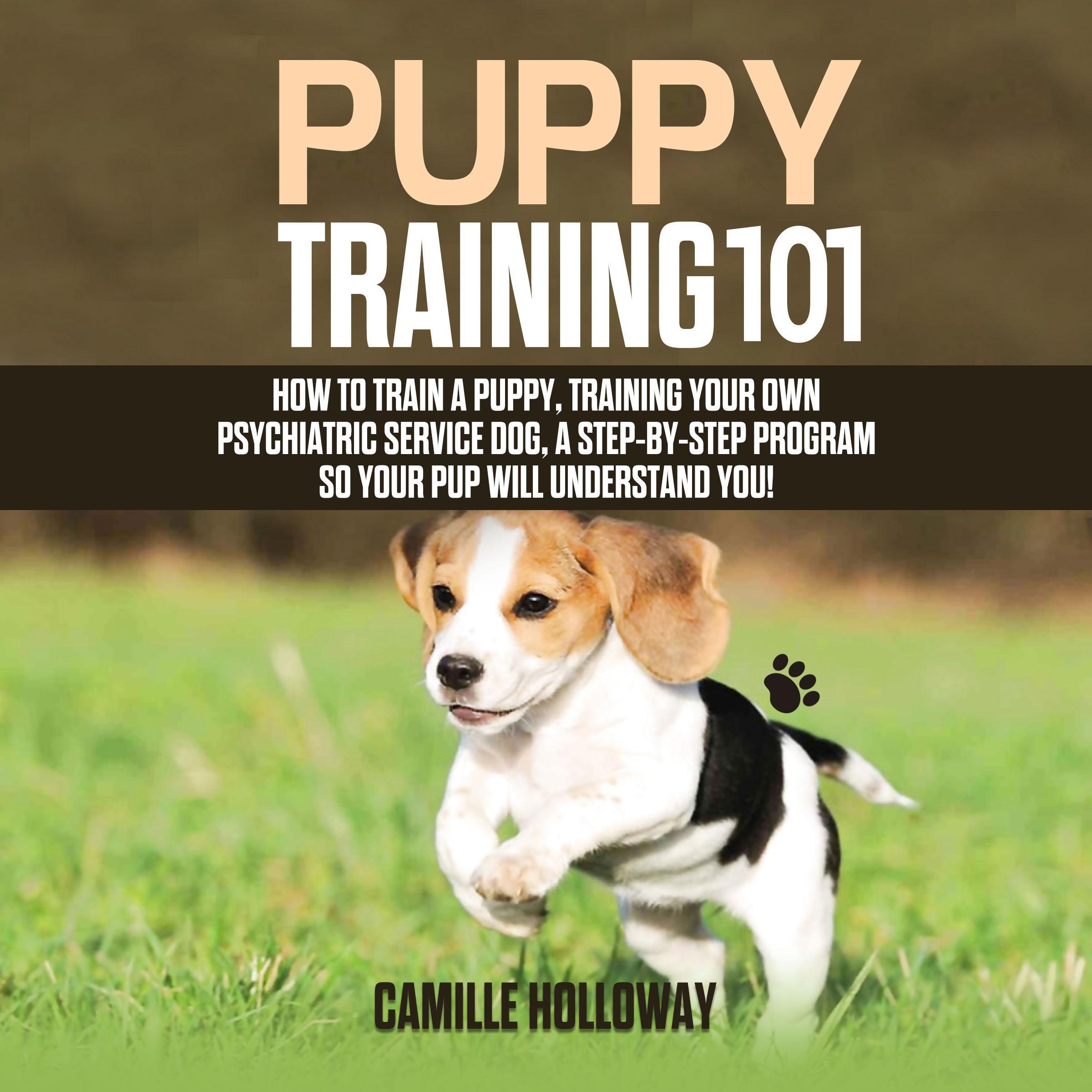 Puppy Training 101