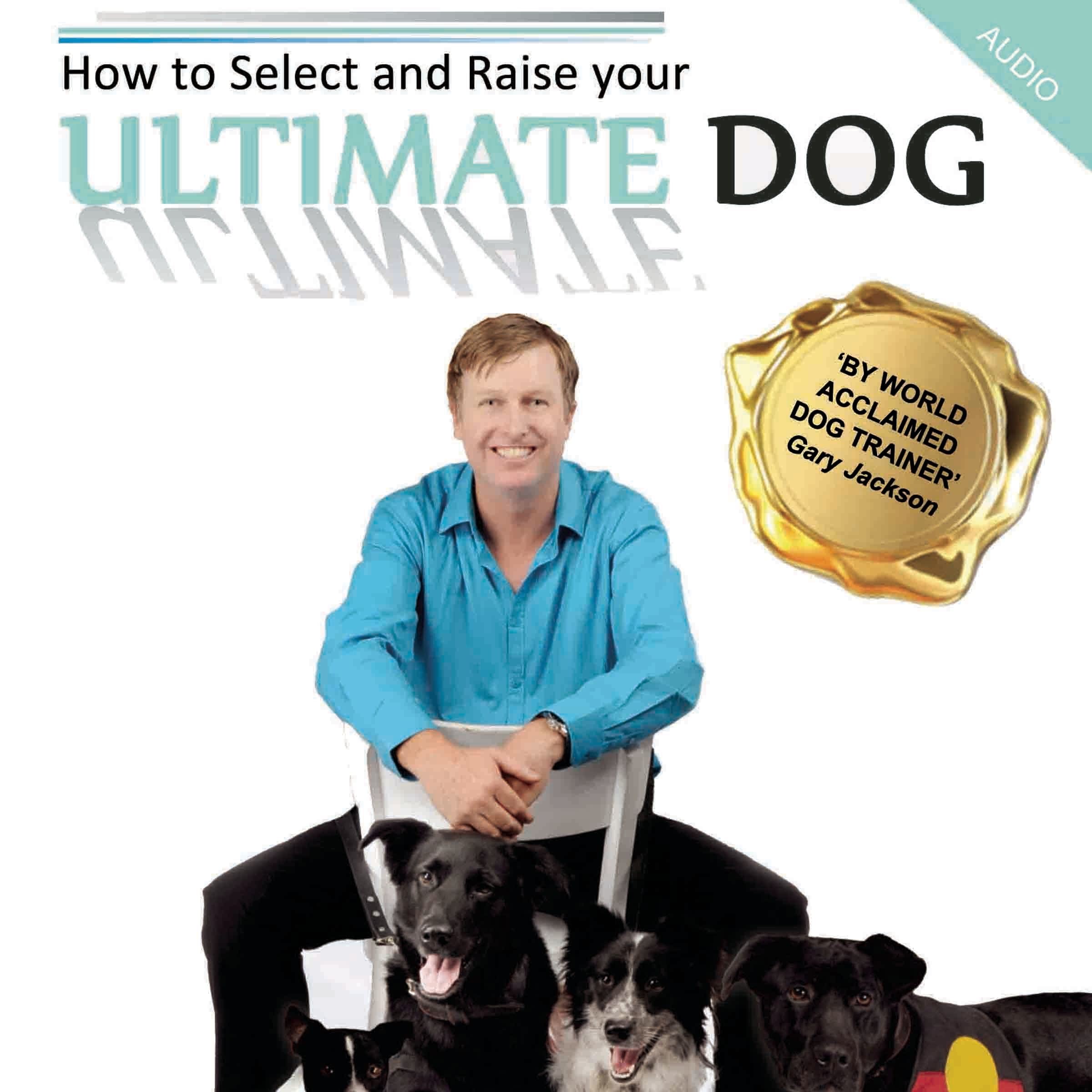 How to Select and Raise Your Ultimate Dog