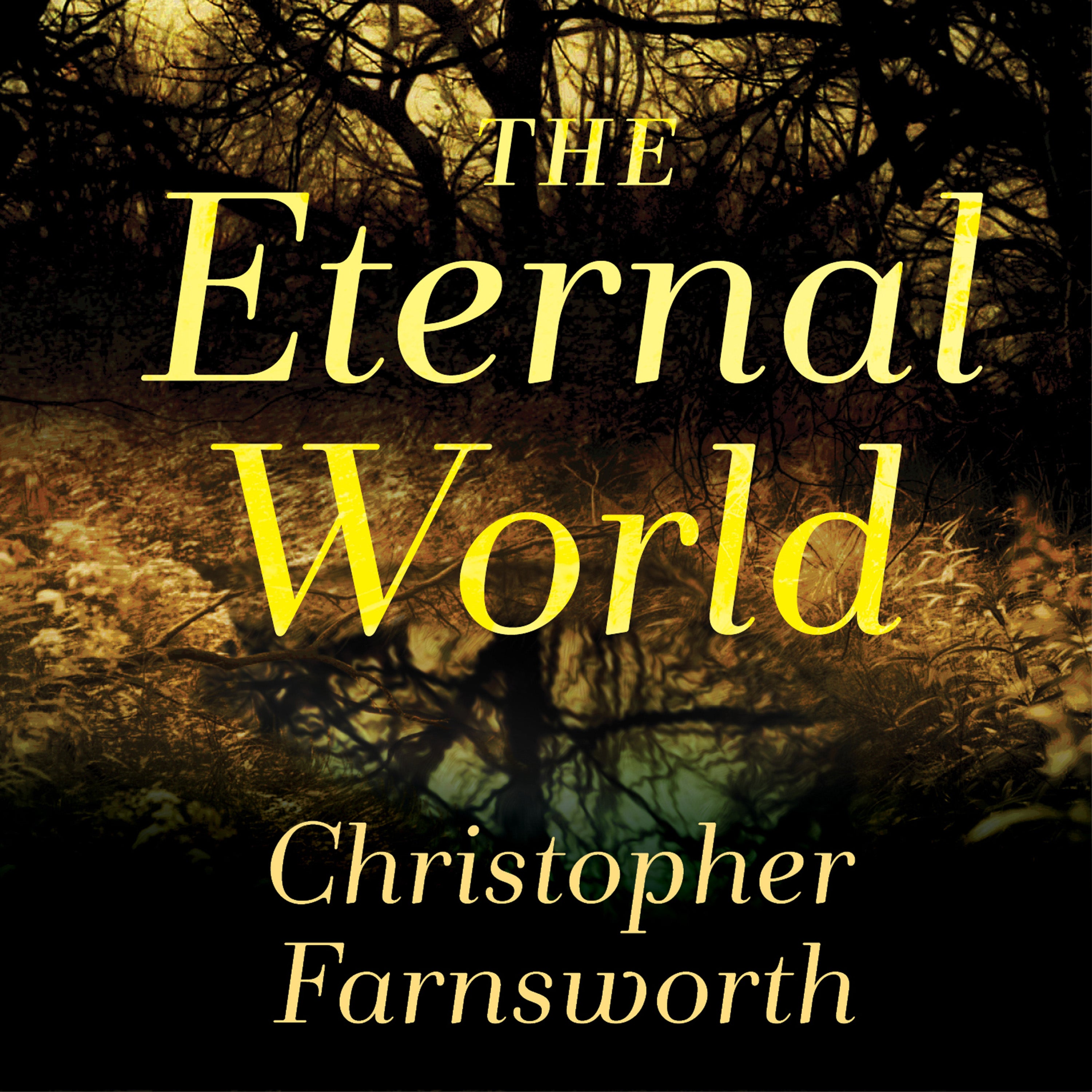 The Eternal World