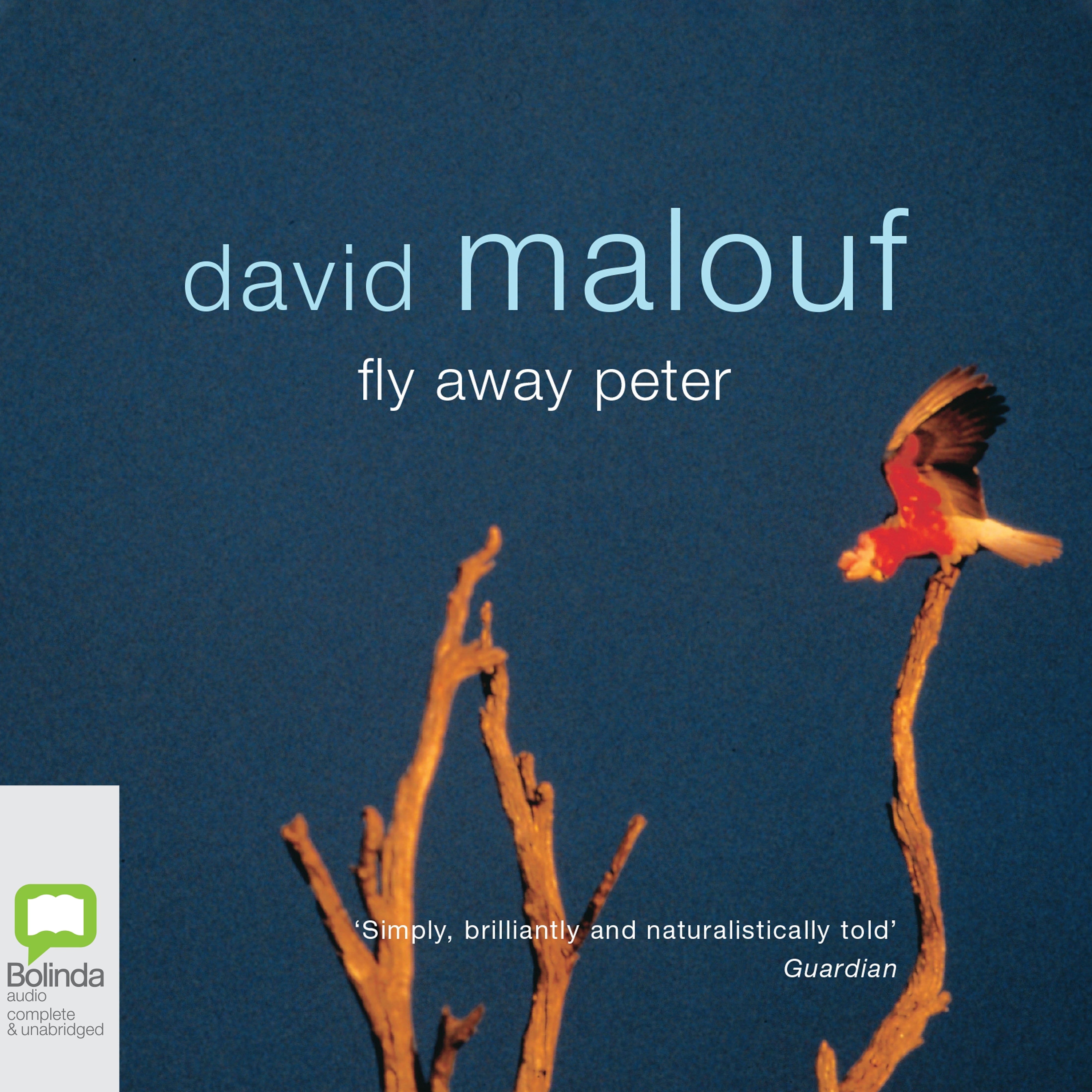 Fly Away Peter