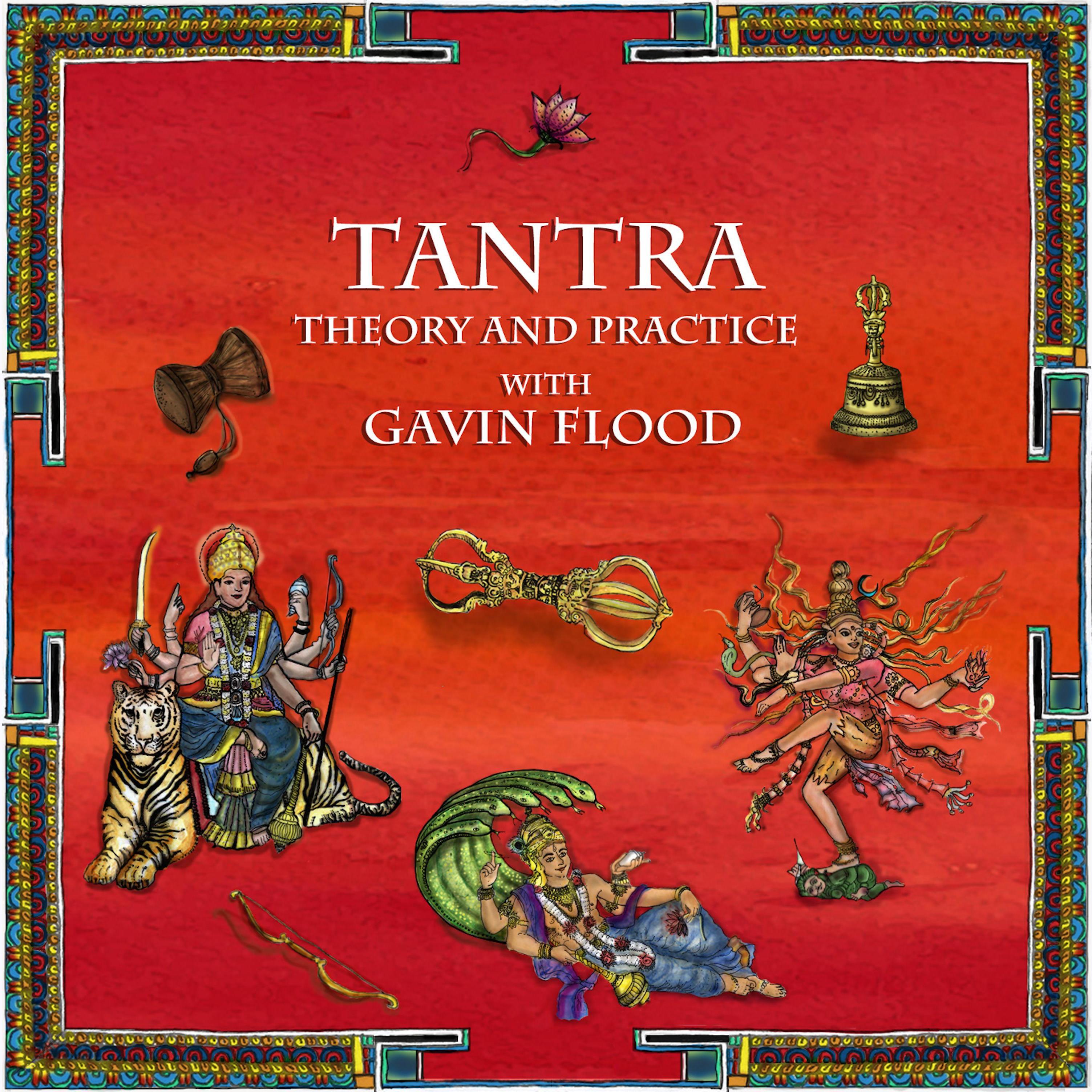 Tantra: Theory and Practice with Gavin Flood