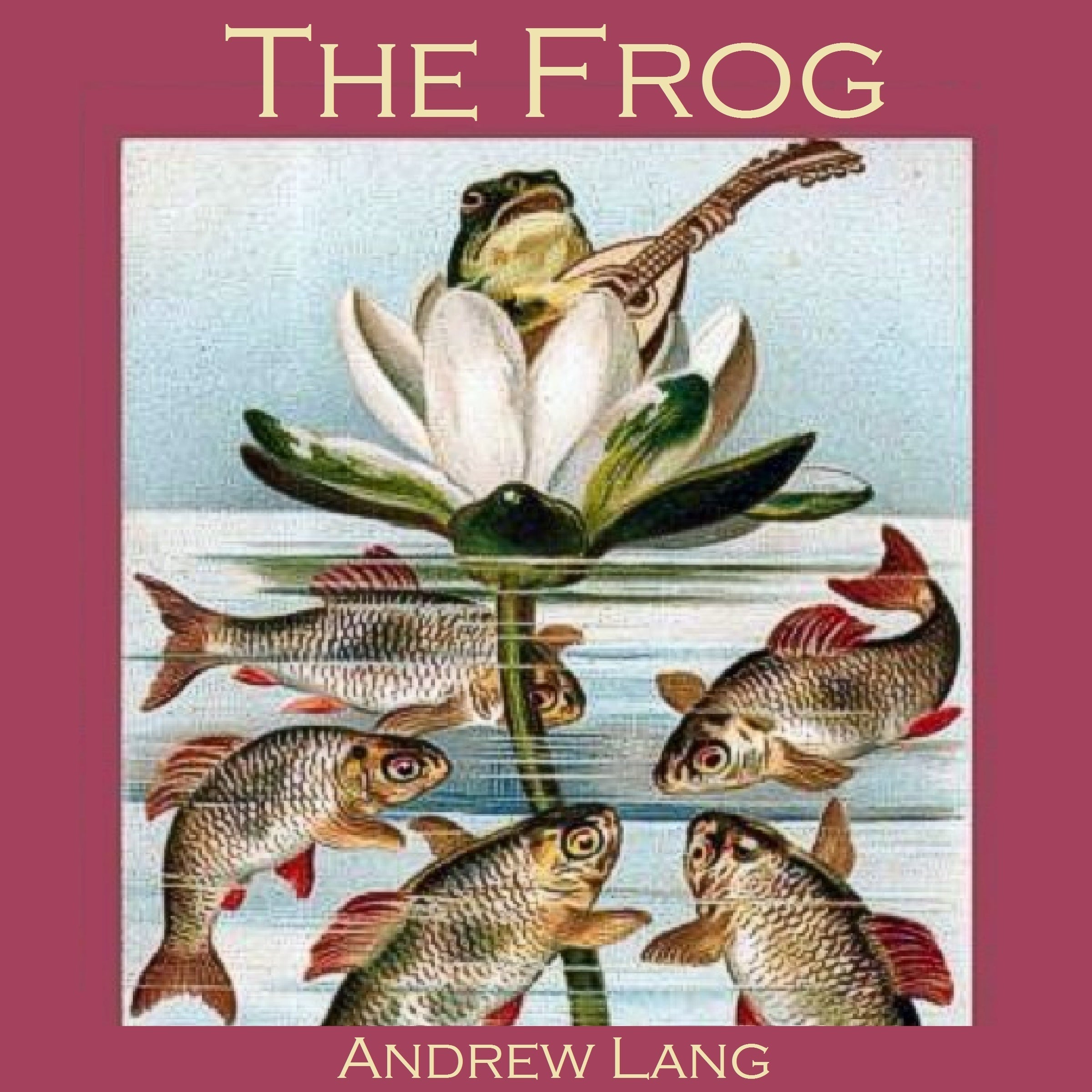 The Frog