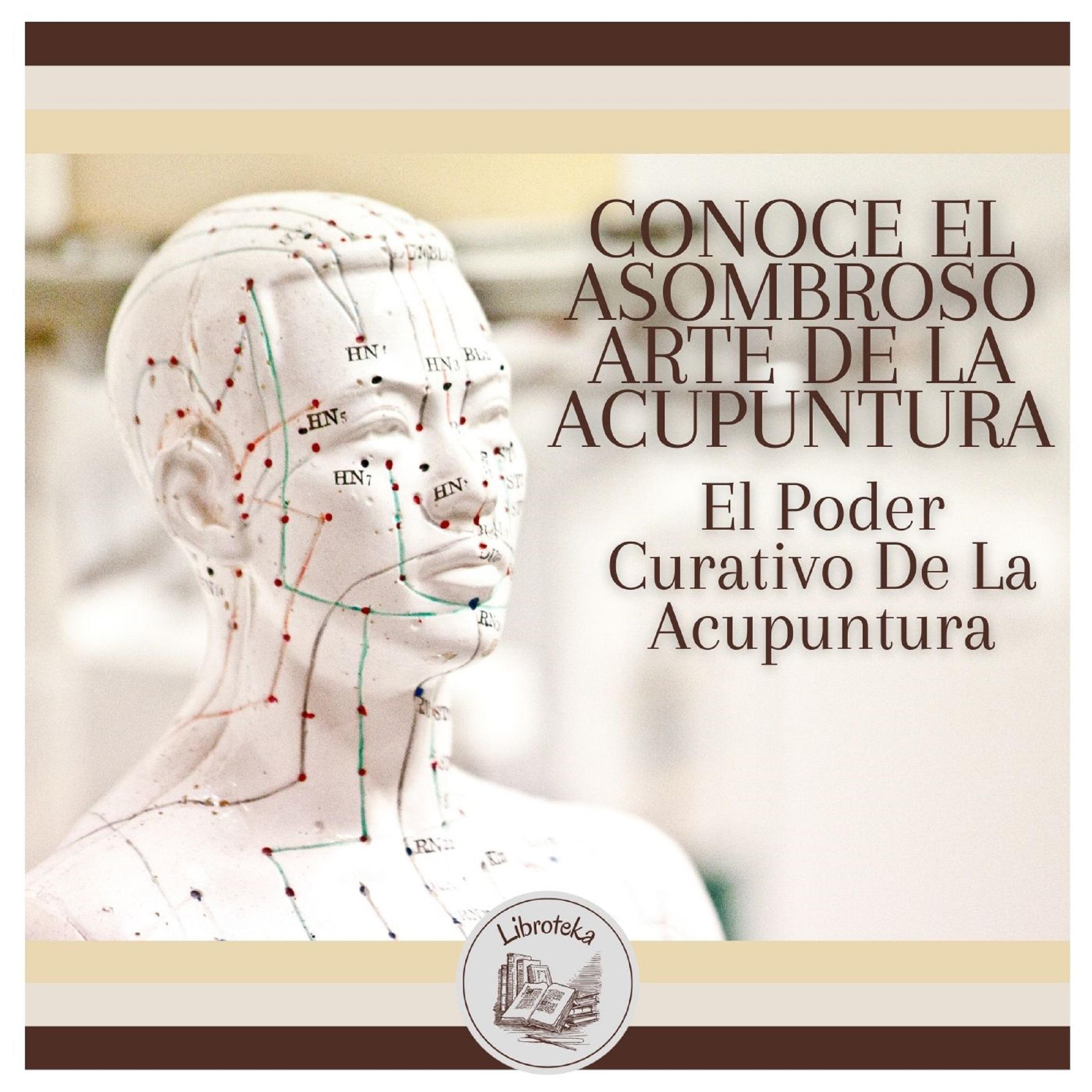 Conoce El Asombroso Arte De La Acupuntura: El Poder Curativo De La Acupuntura