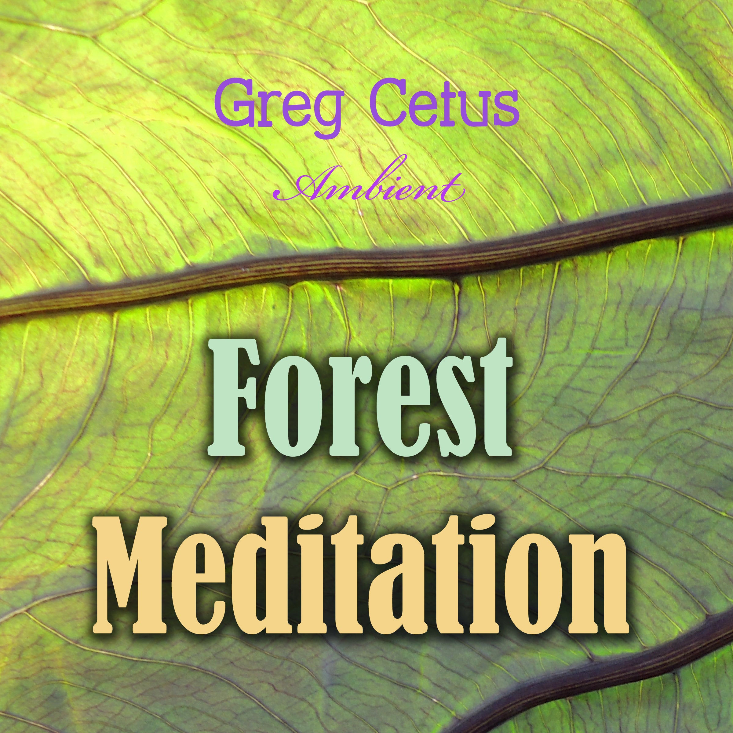 Forest Meditation