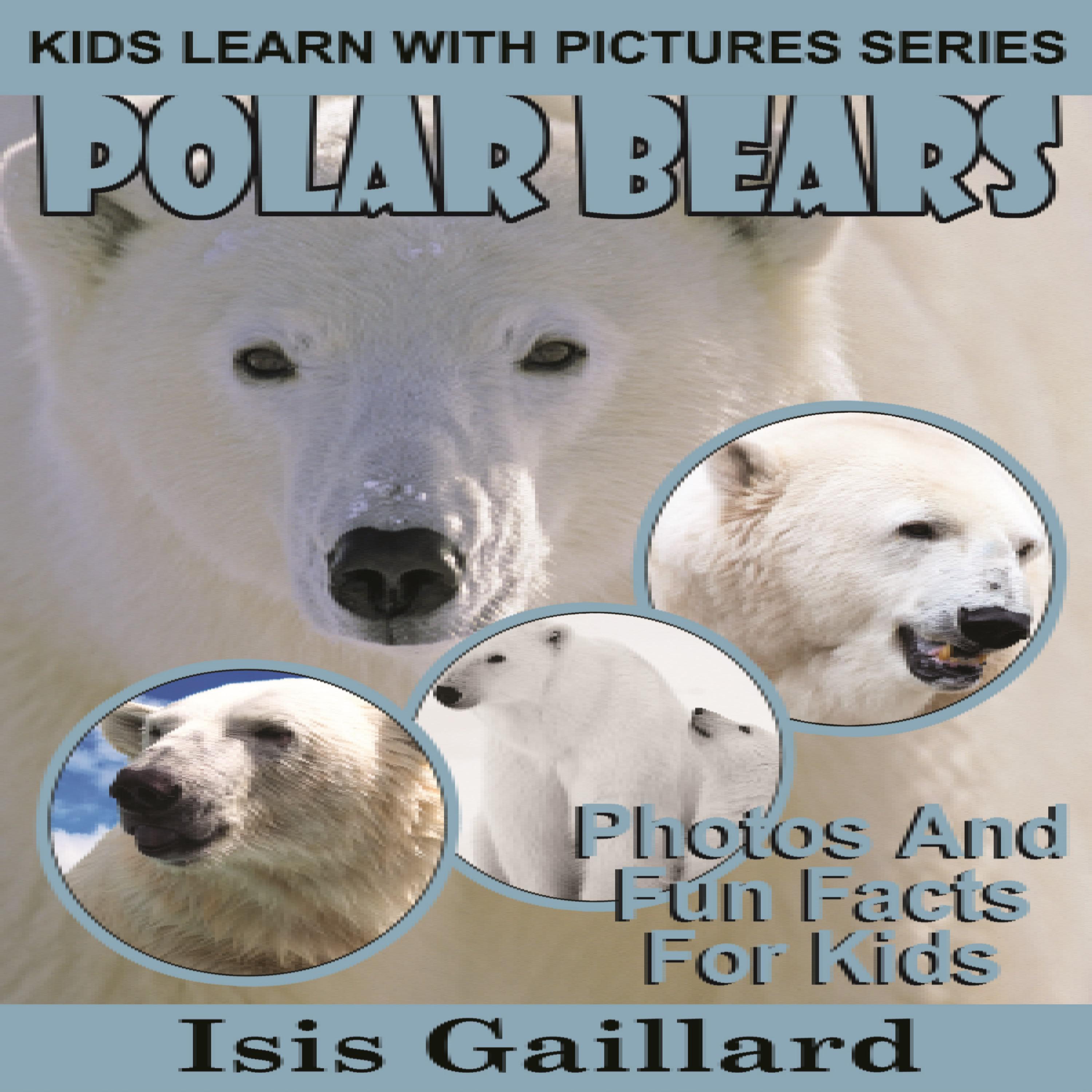Polar Bear