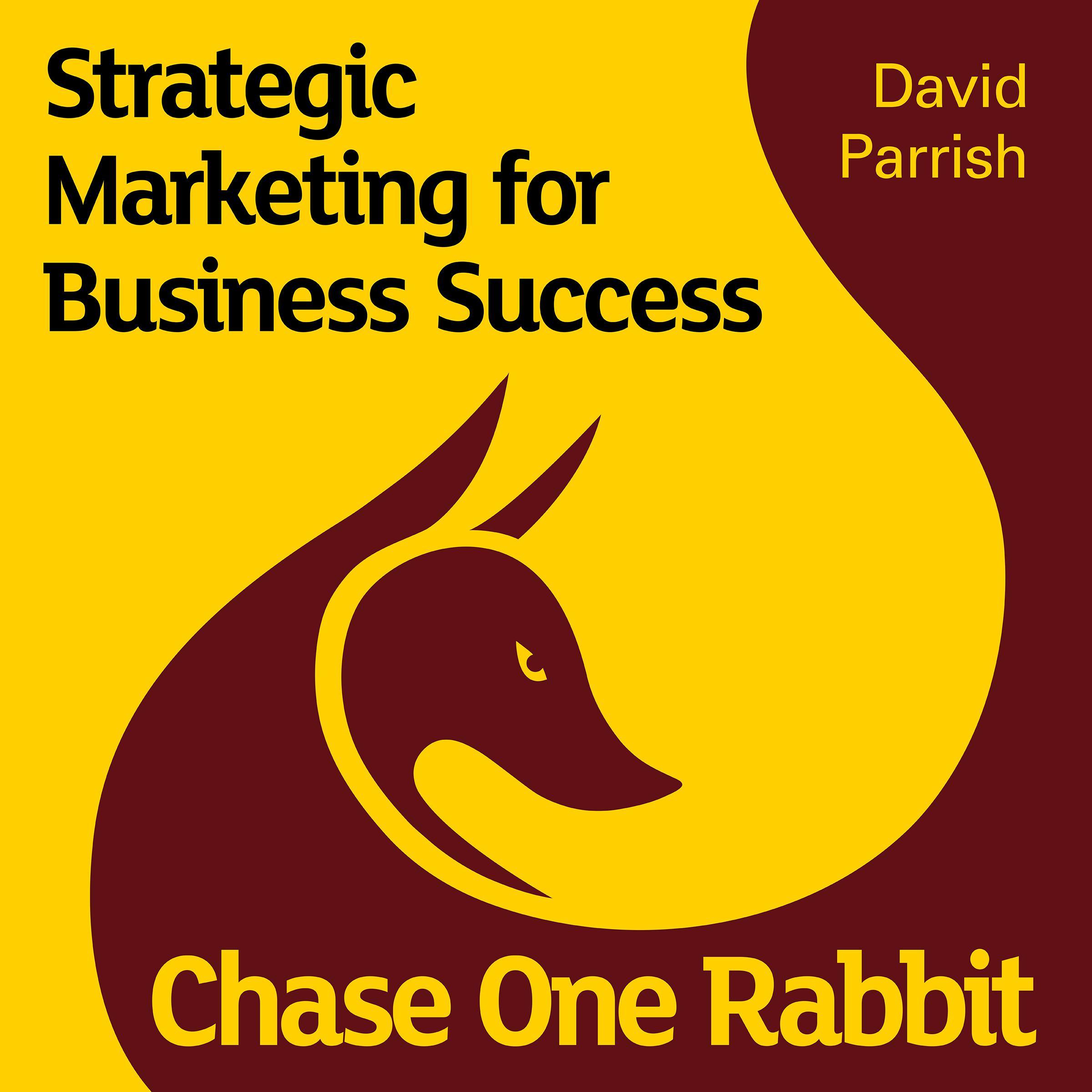 Chase One Rabbit: Strategic Marketing for Business Success