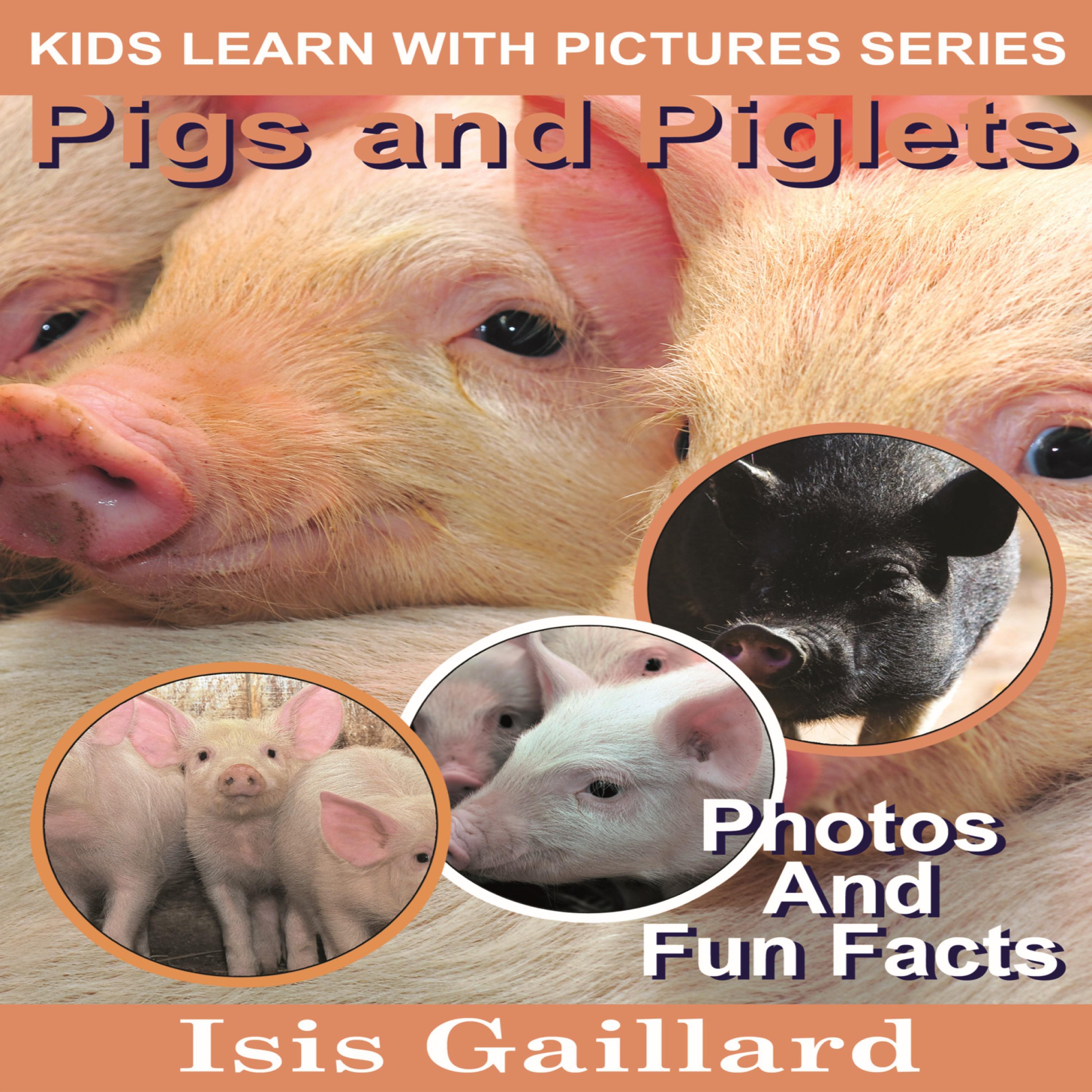Pigs and Piglets