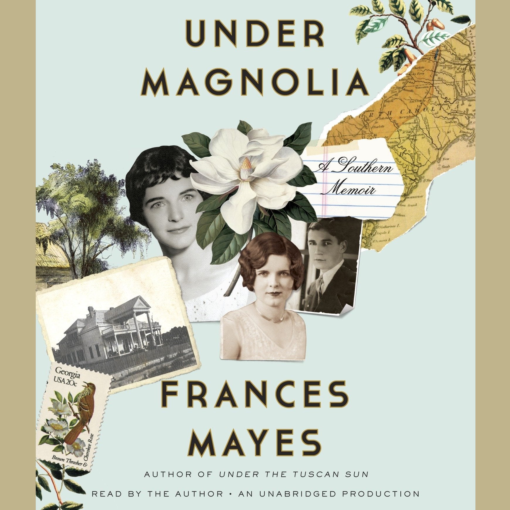 Under Magnolia