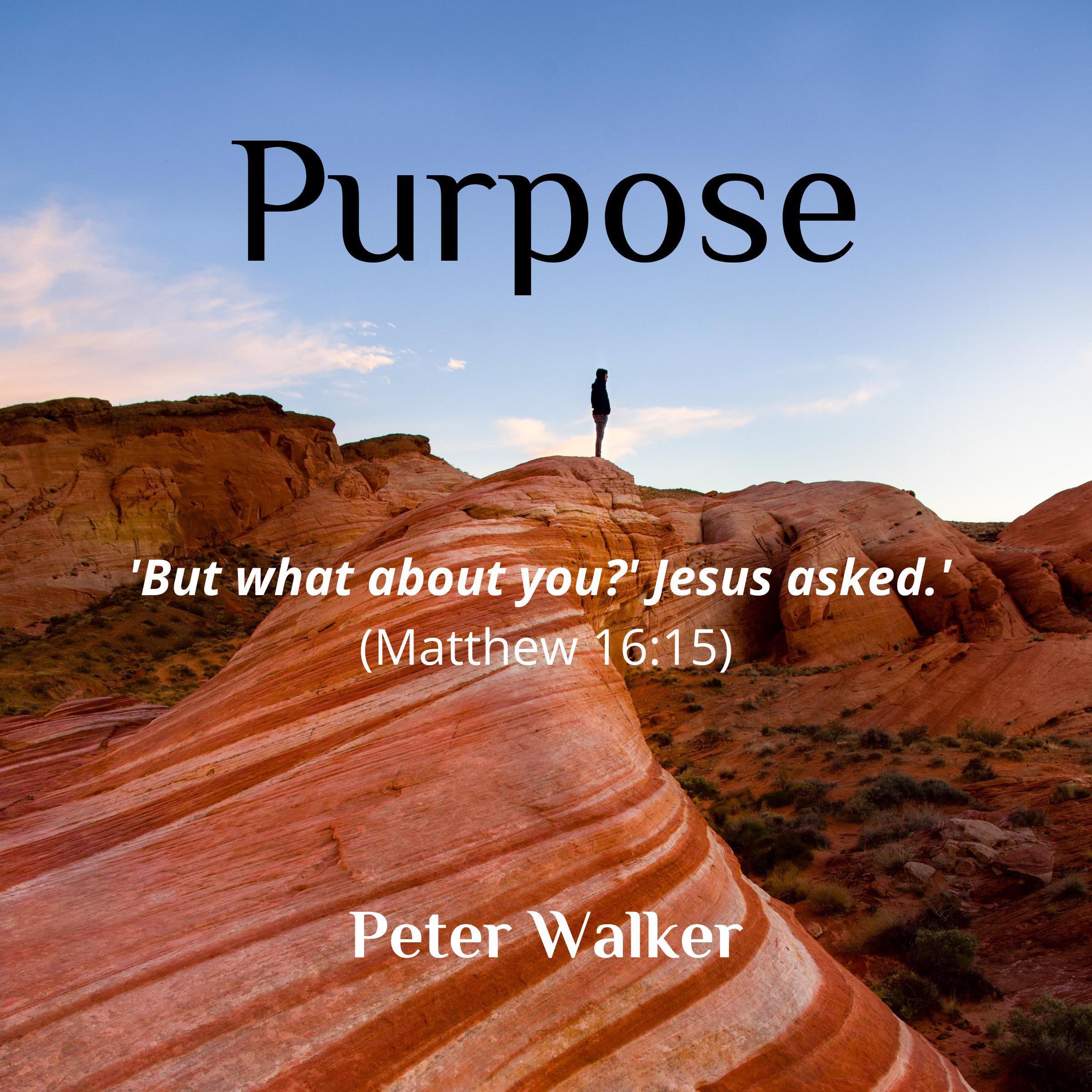 Purpose